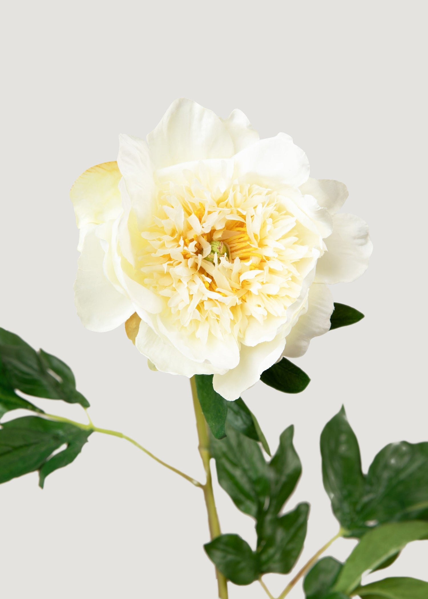 Artificial Peony Flower in Pale Yellow - 28.5