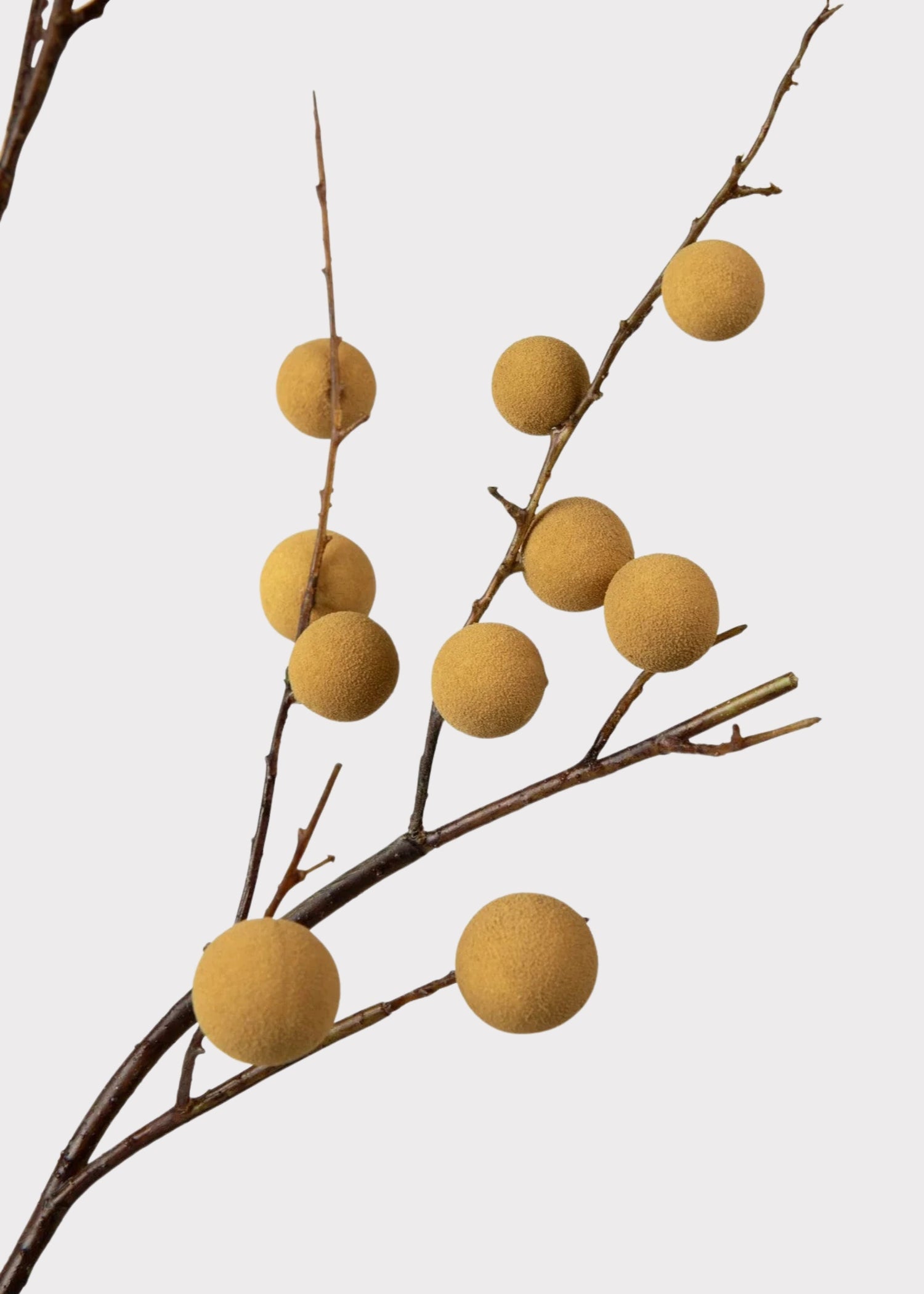 Artificial Longan Branch - 39