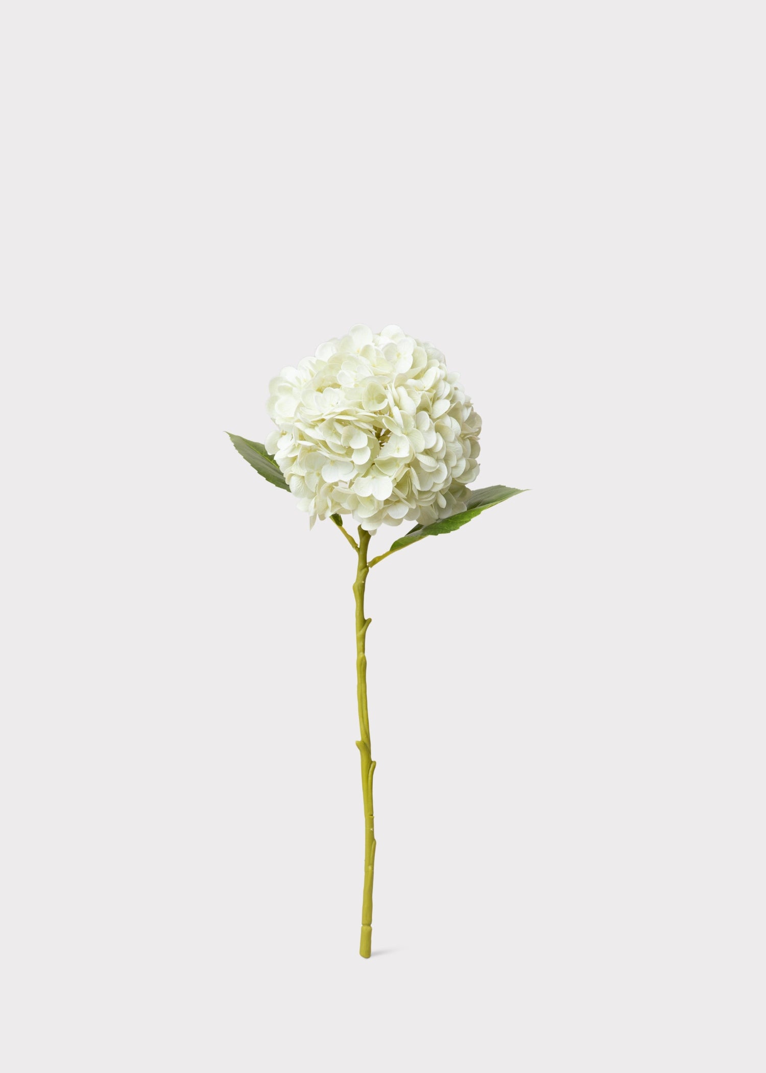 Cream White Hydrangea Real Touch Fake Flower - 18.5