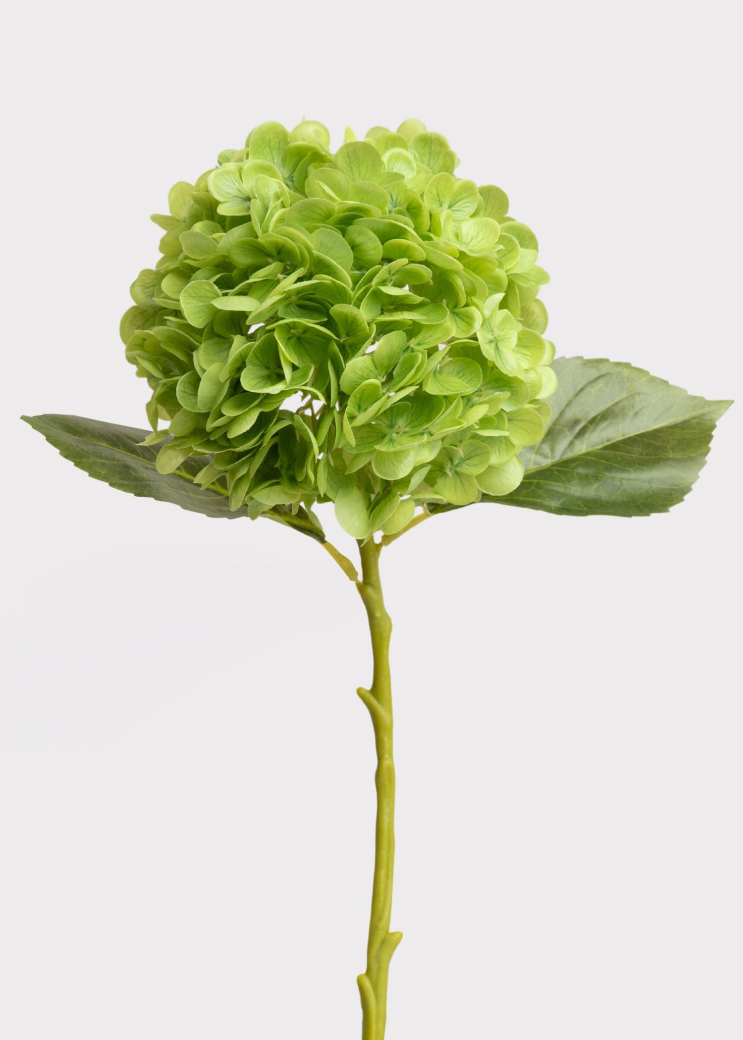 Hydrangea Real Touch Fake Flower in Green - 18.5