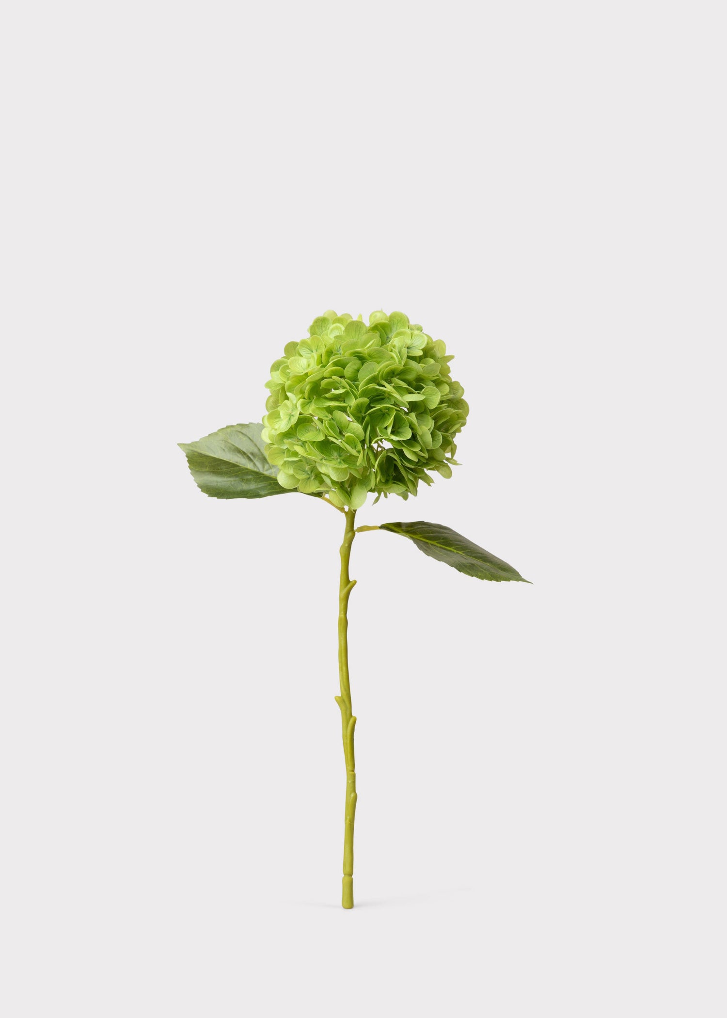 Hydrangea Real Touch Fake Flower in Green - 18.5