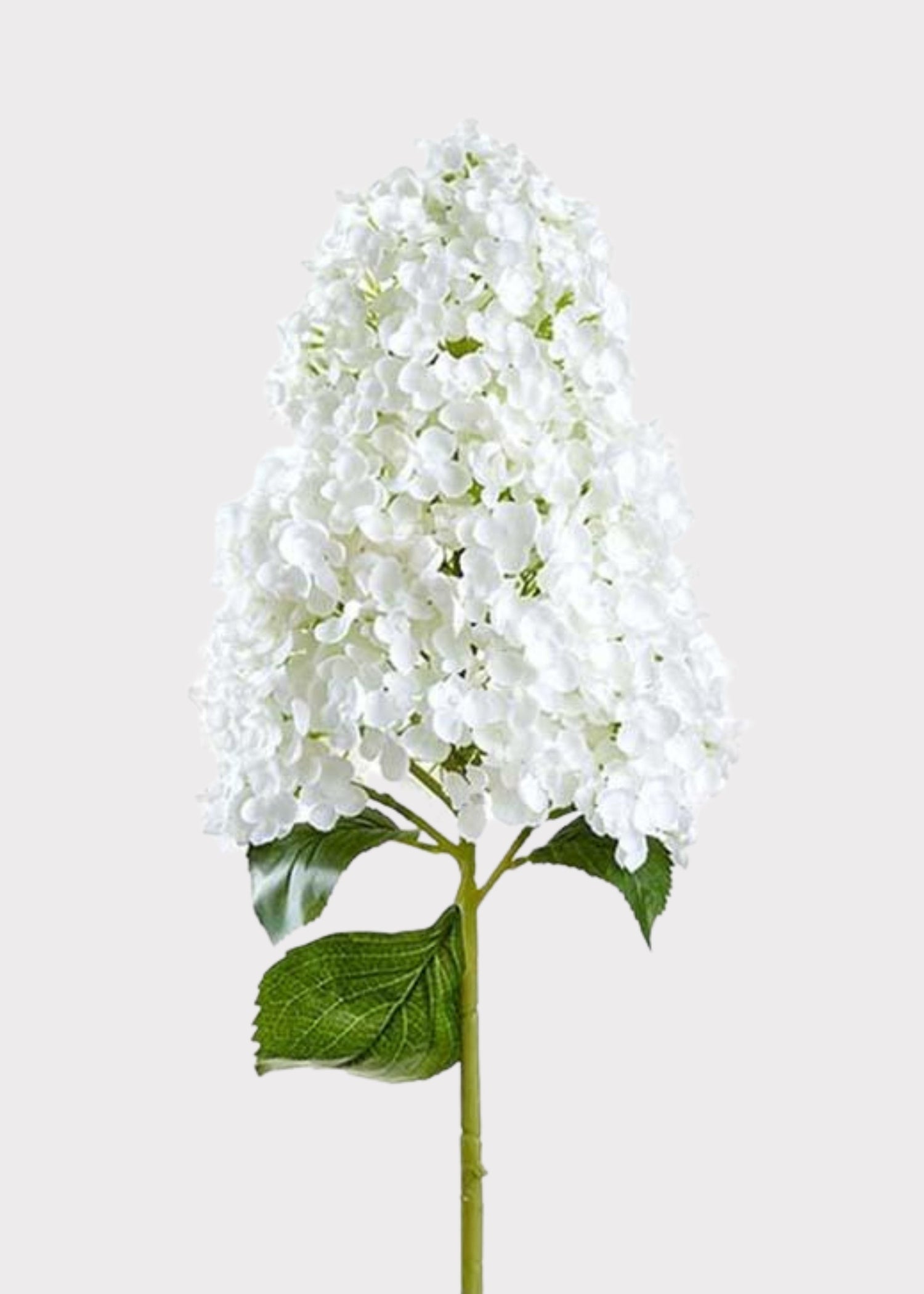 Large Artificial Cone Hydrangea Flower in White - 40
