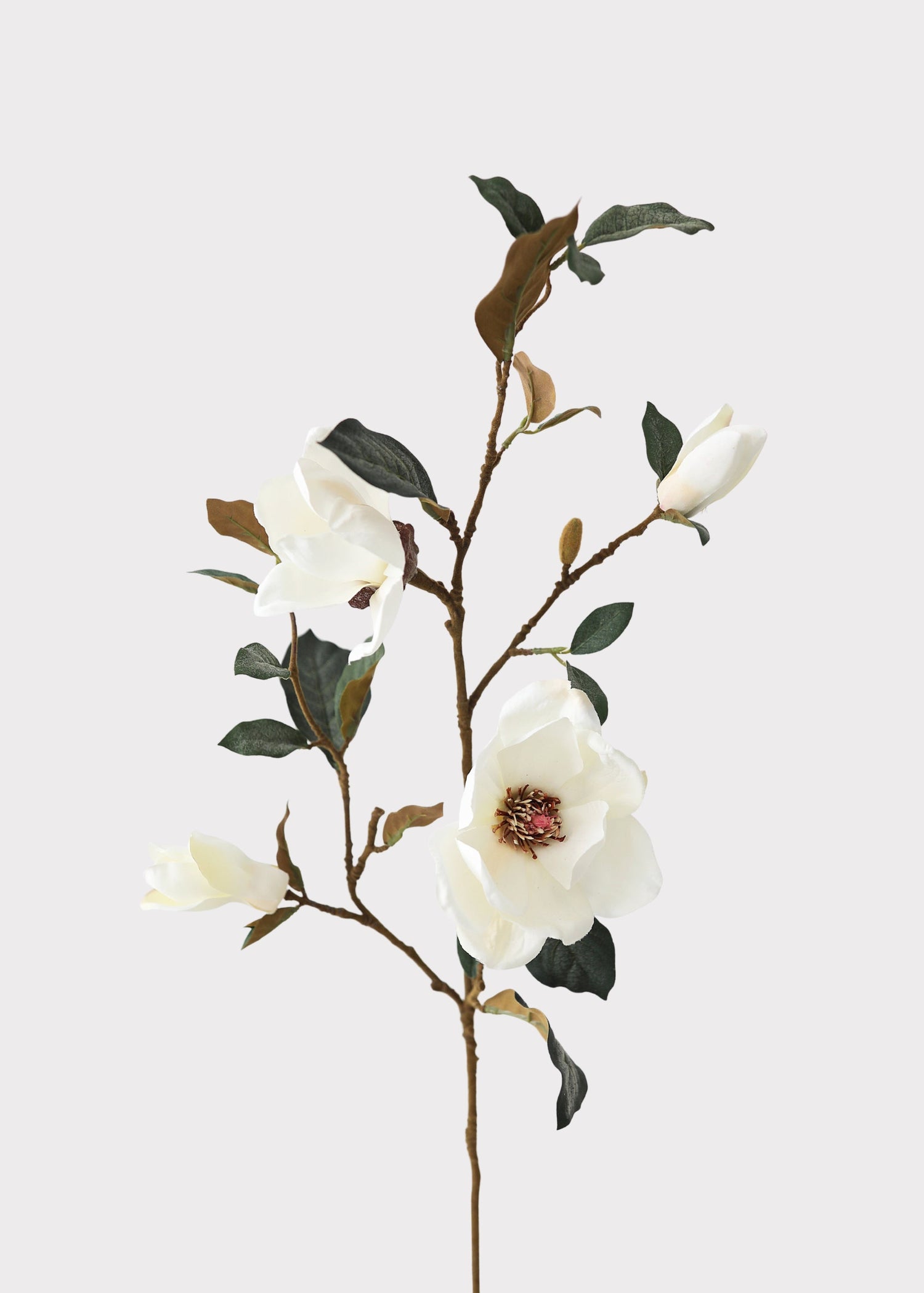 Cream Magnolia Fake Flower Branch - 35