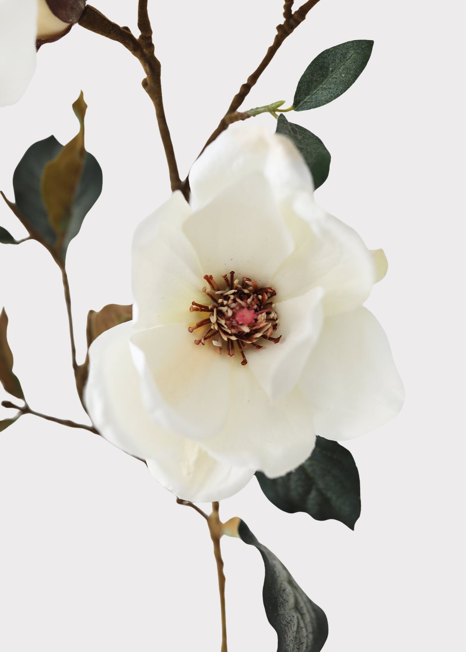 Cream Magnolia Fake Flower Branch - 35