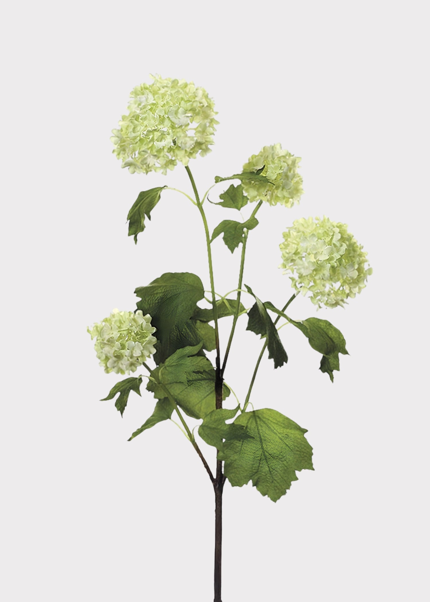 Green Cream Artificial Snowball Flowers - 24