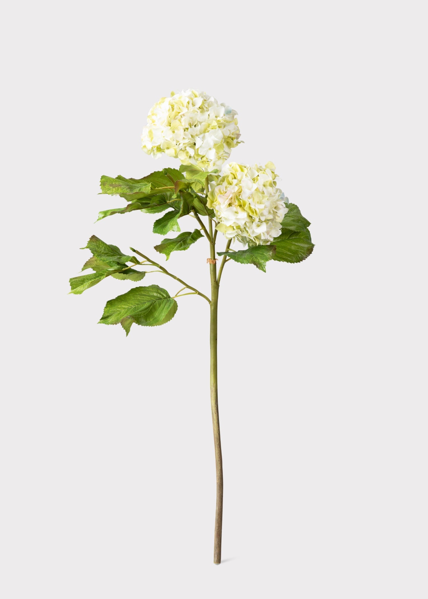 Cream Green Artificial Hydrangea Branch - 36