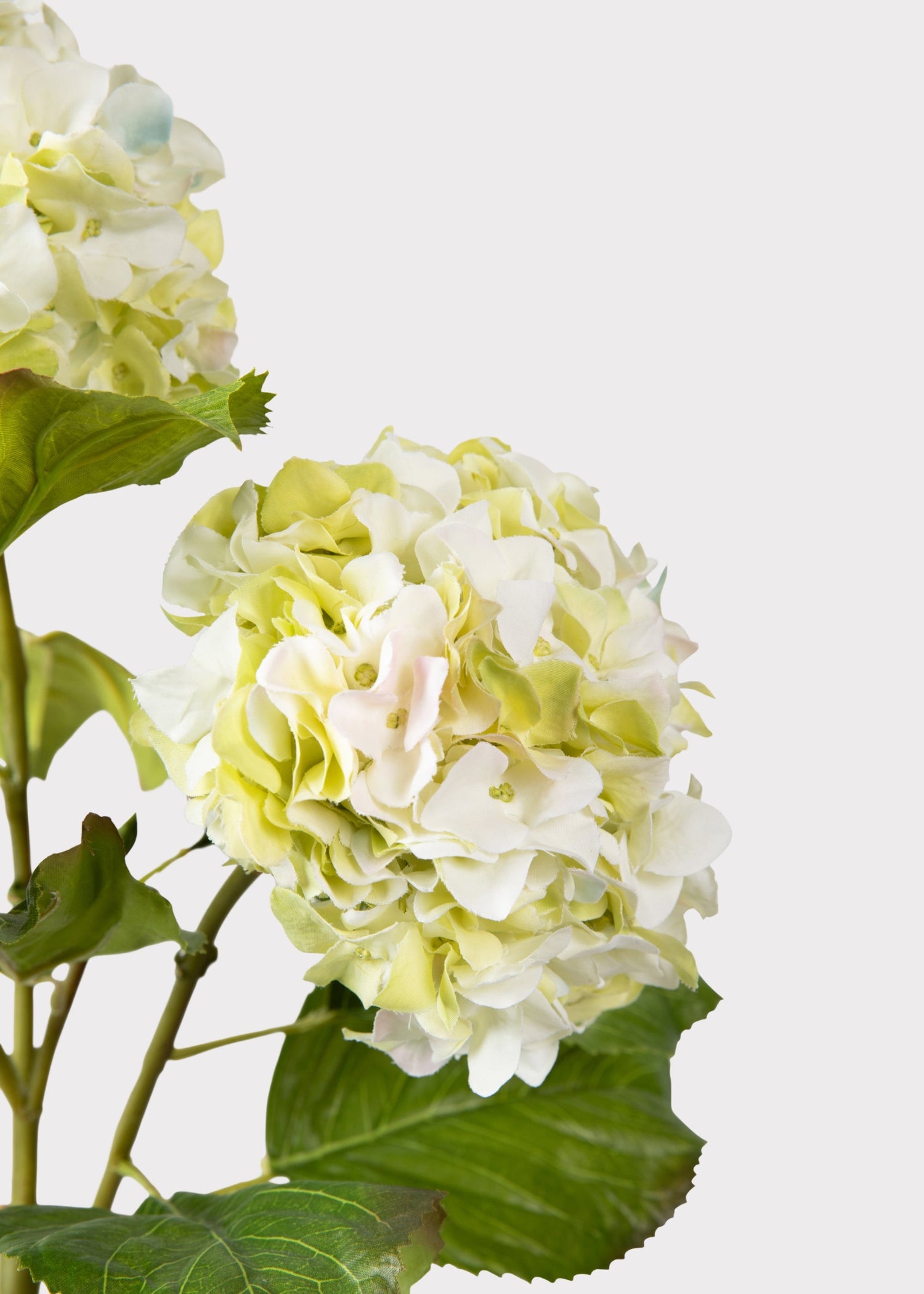 Cream Green Artificial Hydrangea Branch - 36