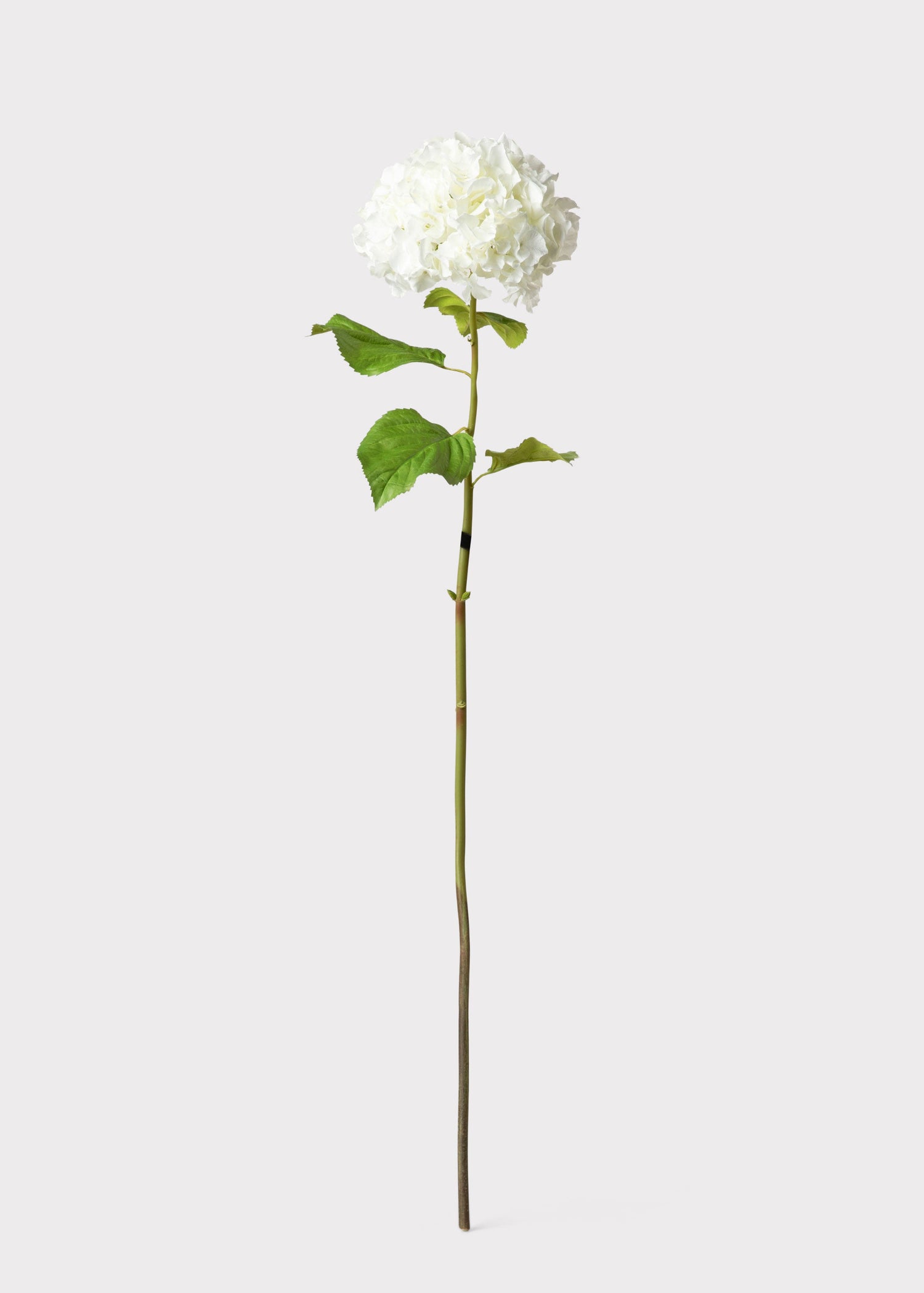 Tall Hydrangea Faux Flower in White - 45