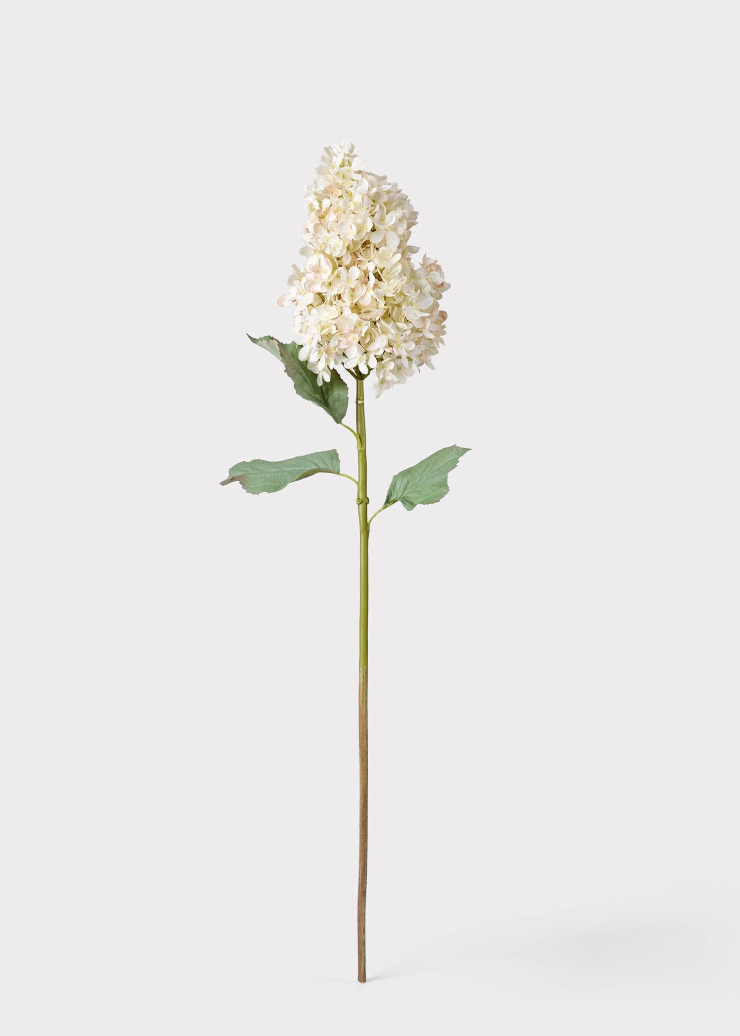 SAVE - Large Deluxe Faux Dried Cone Hydrangea in Parchment