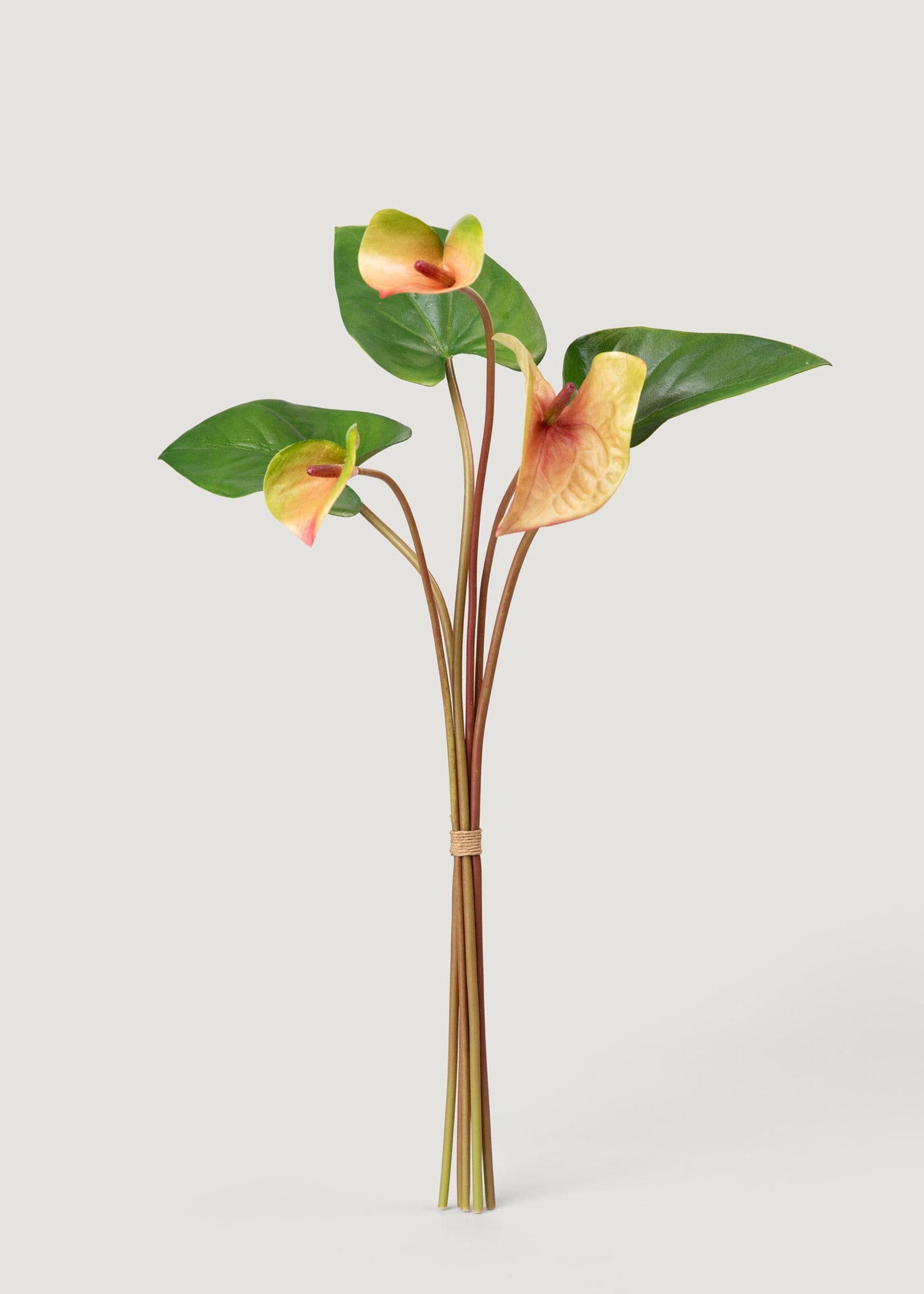 Pink and Green Fake Tropical Flower Anthurium Bundle - 25