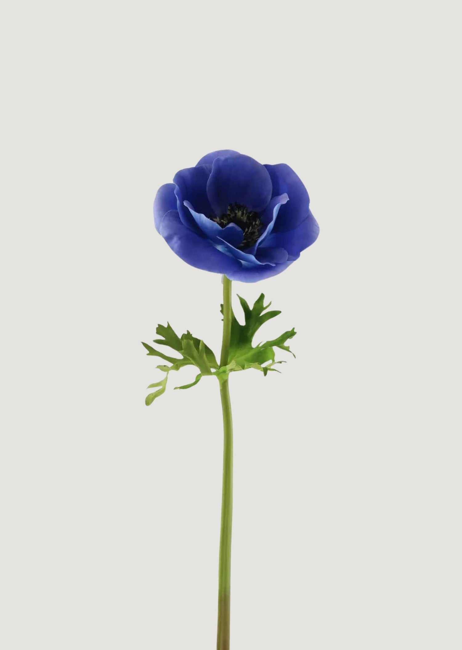 Blue Real Touch Poppy Anemone Flower - 17.5