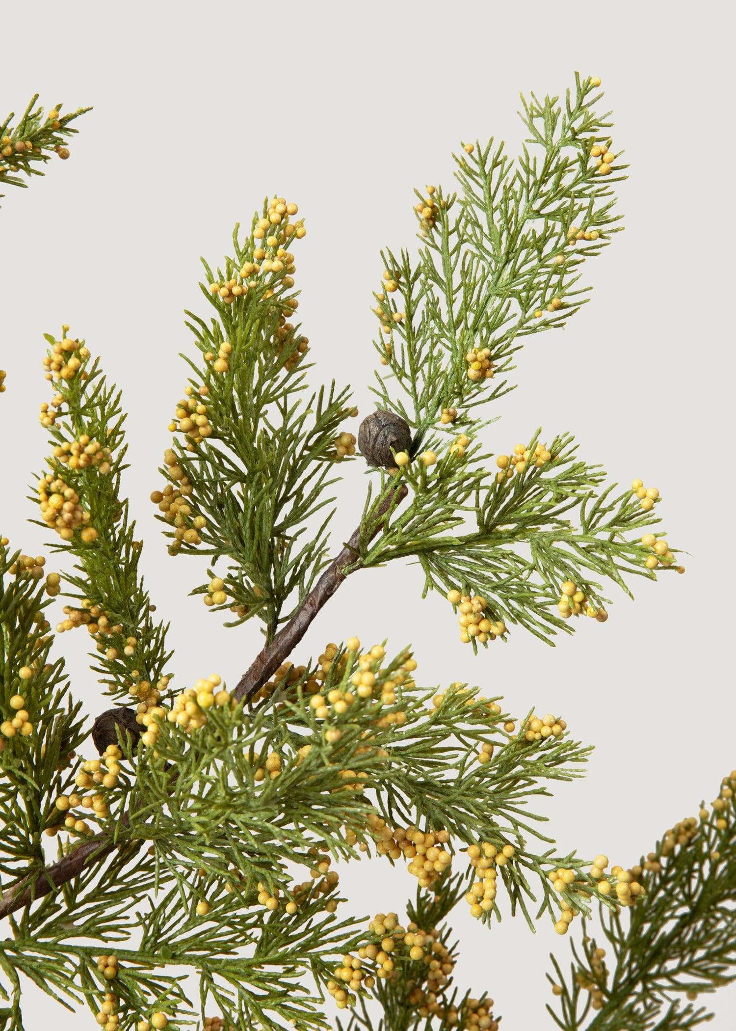 Natural Touch Faux Pine Evergreen Branch - 40
