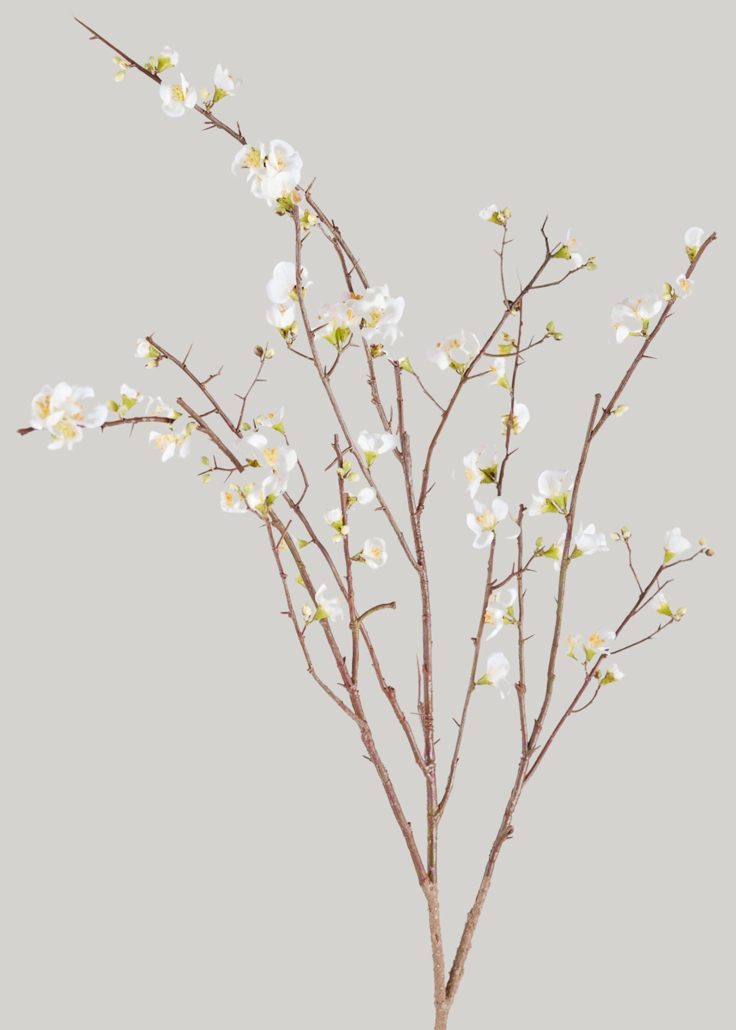 SAVE - Faux Quince Blossom Branch in Cream - 54