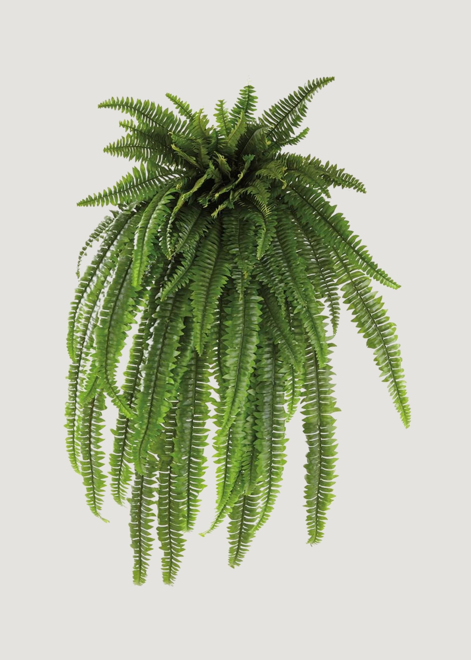 The Grand Dame Deluxe Artificial Estate Fake Fern - 52