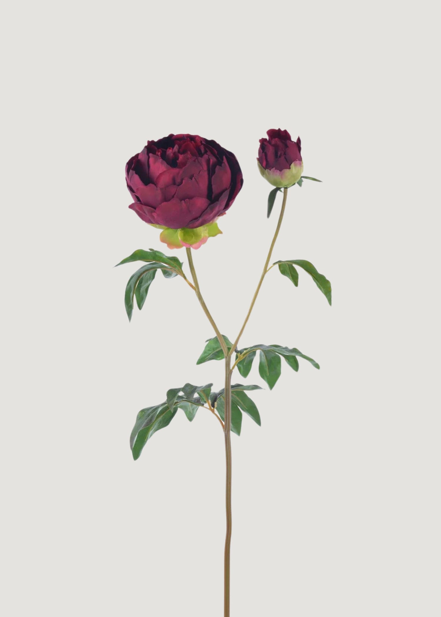 Plum Fuchsia Real Touch Peony - 27