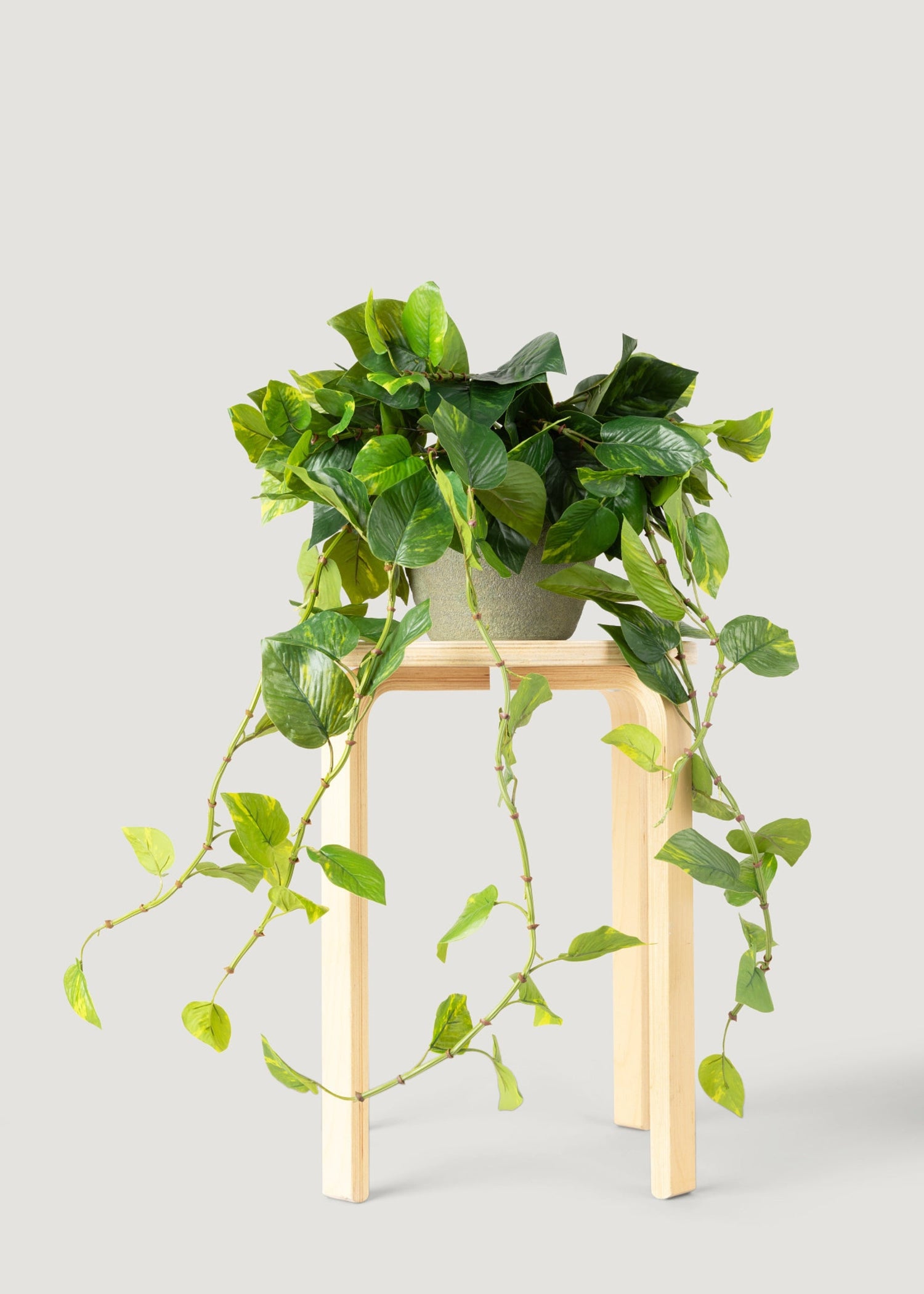 Natural Touch Pothos Artificial Plant - 48