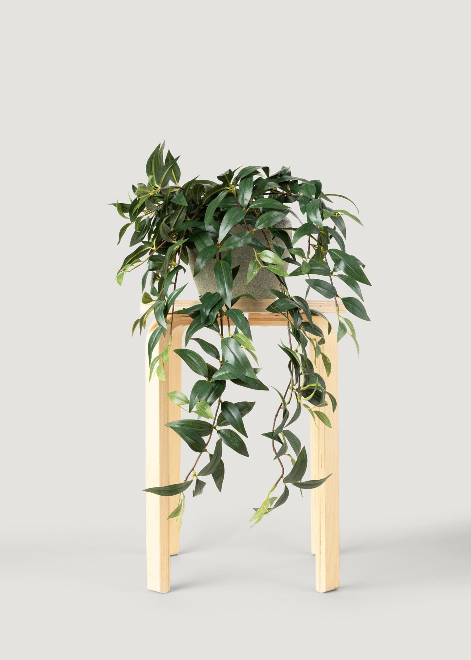 Fake Ruscus Leaf Hanging Plant - 31