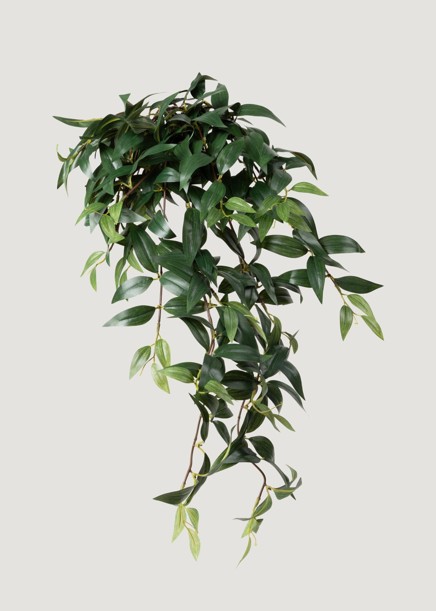 Fake Ruscus Leaf Hanging Plant - 31