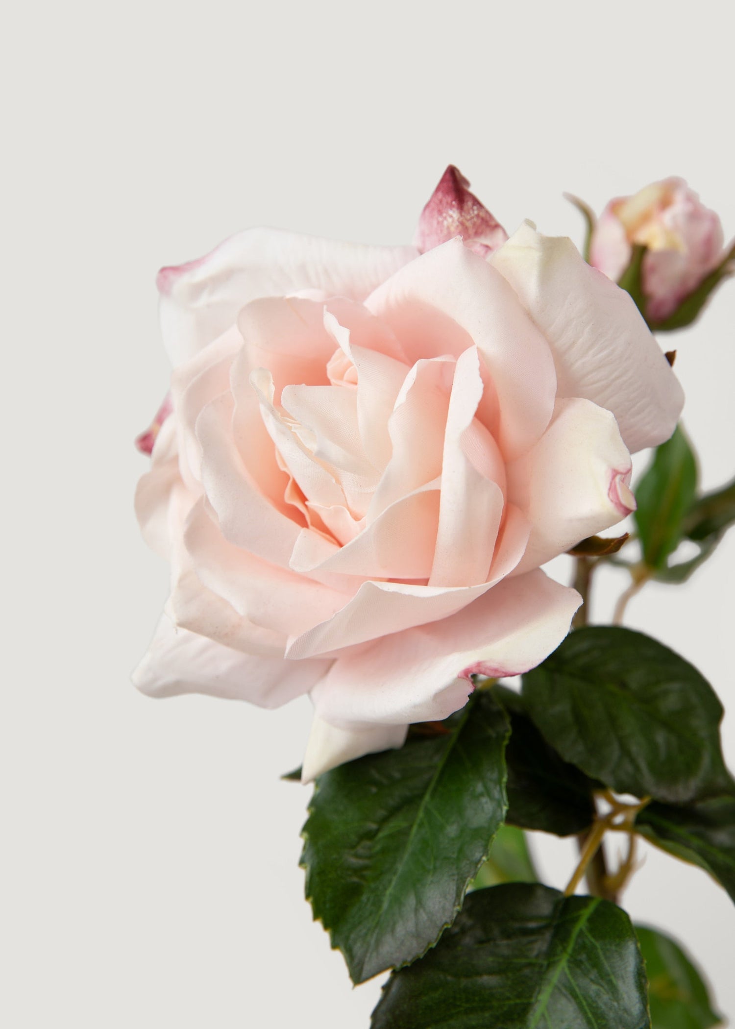 Soft Pink Real Touch Fake Juliet English Rose - 22