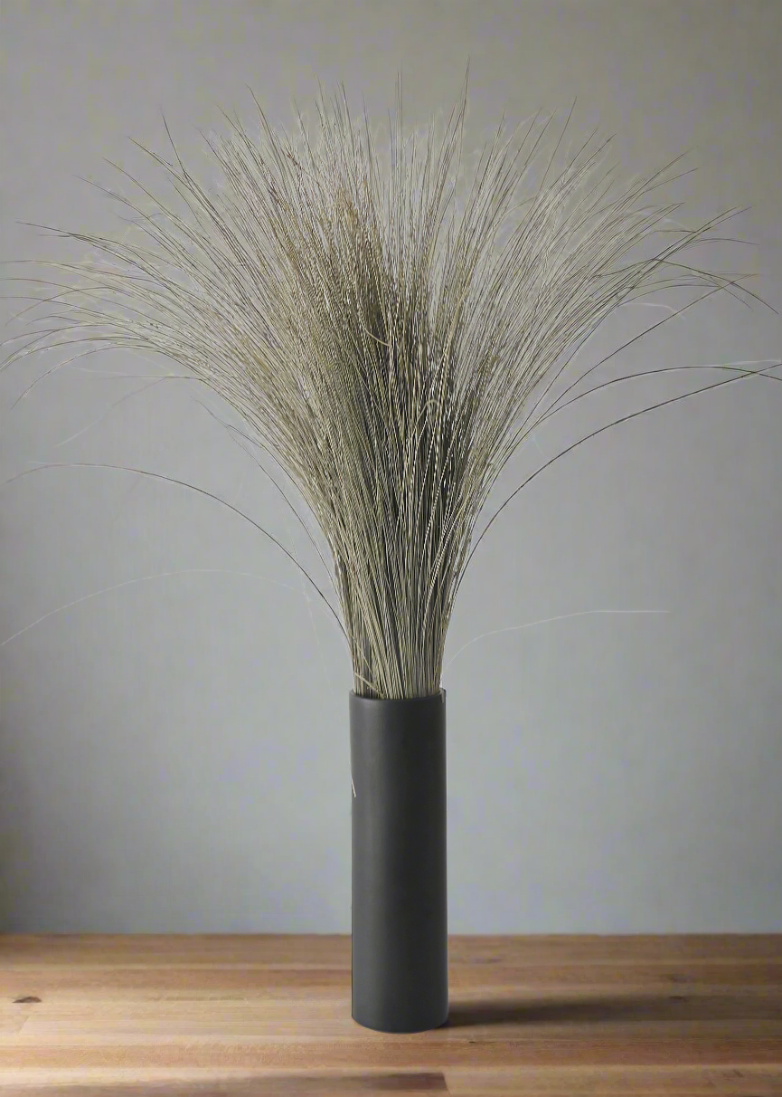 Preserved Coastal Dune Grass - 36