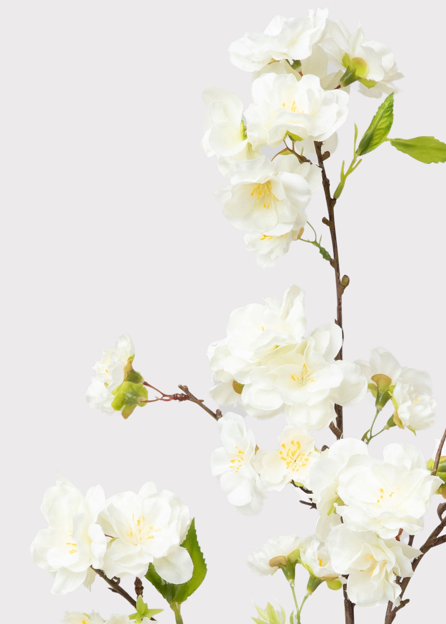 Cream Artificial Cherry Blossom Branch Pick - 18