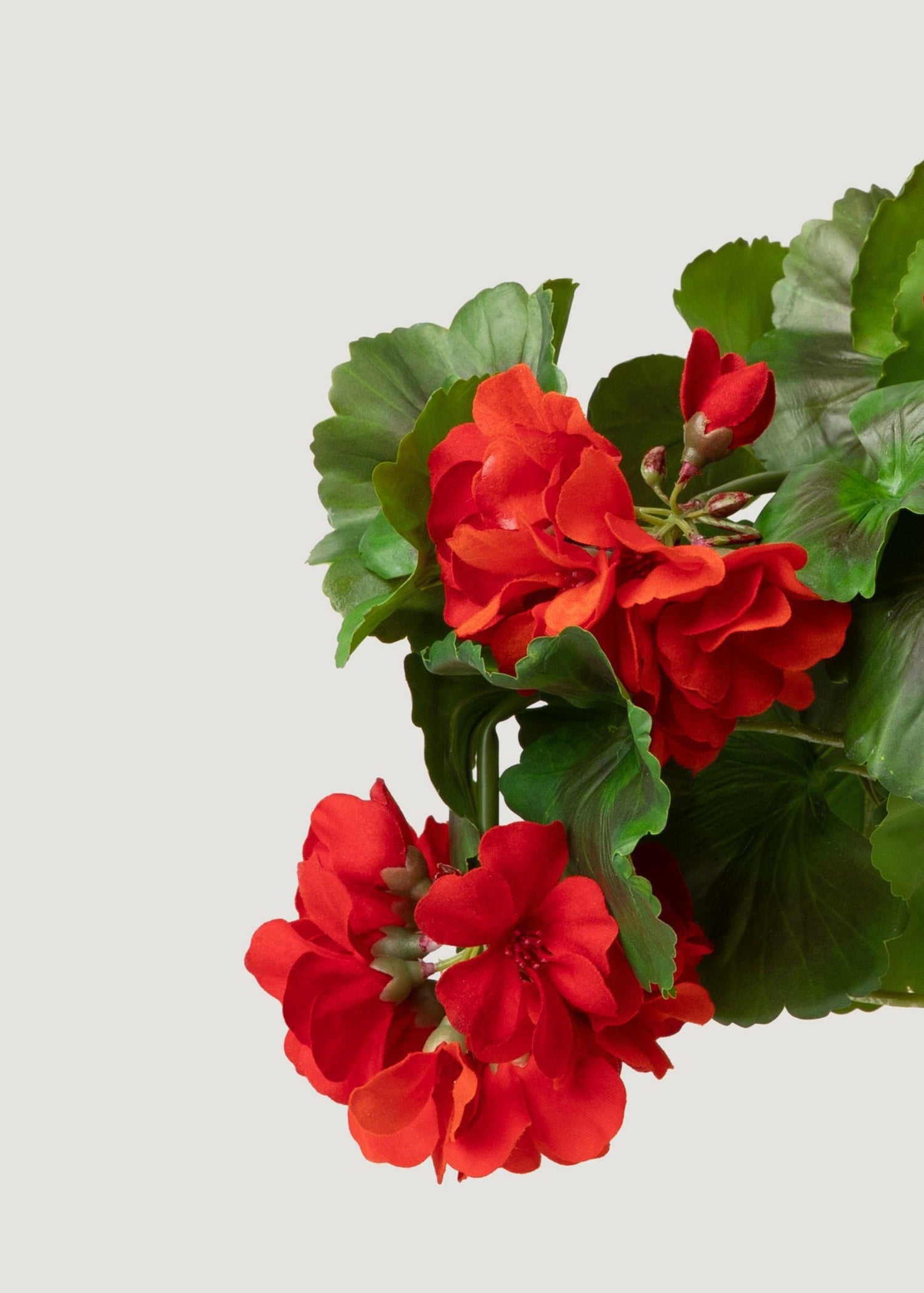 UV Resistant Indoor/Outdoor Natural Touch Geranium Bush - 17
