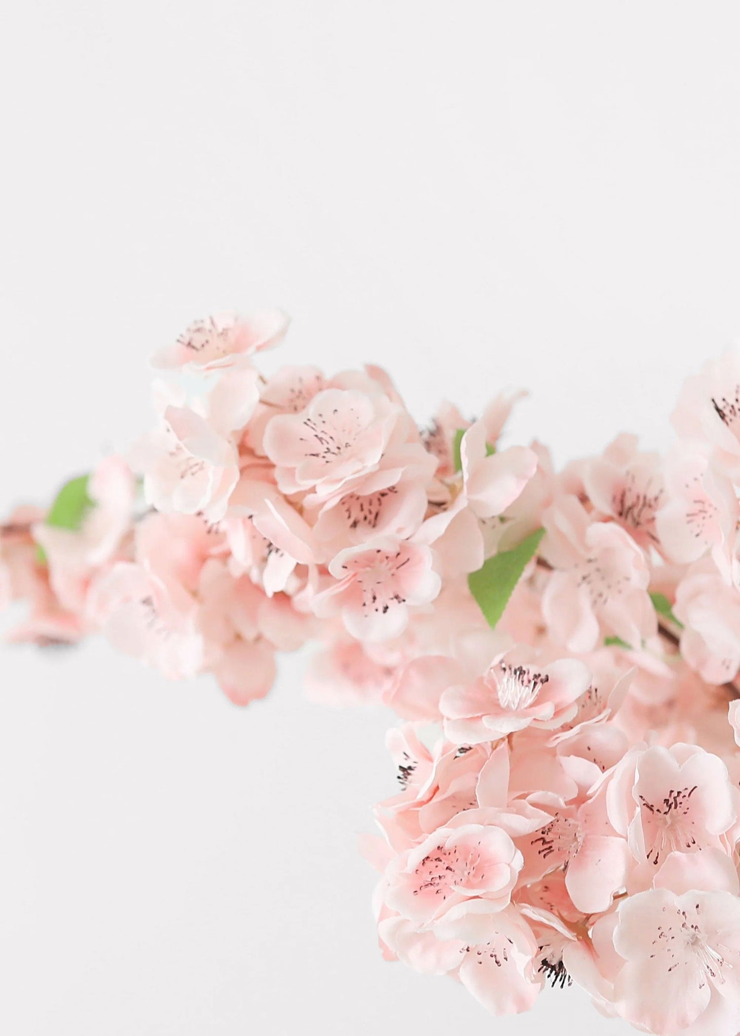 Faux Cherry Blossom in Pink - 44