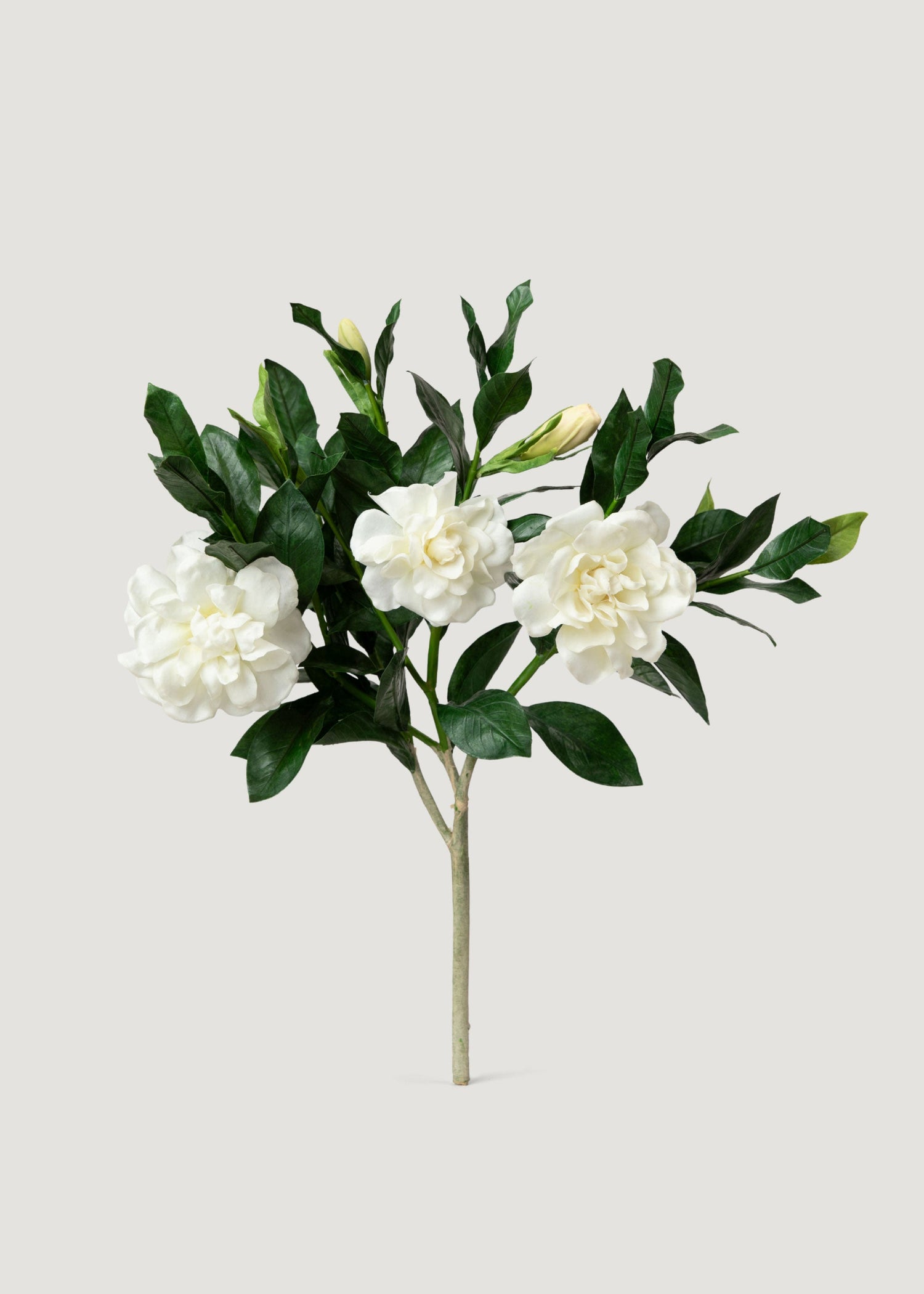 Premium Artificial Gardenia Flower Branch- 19