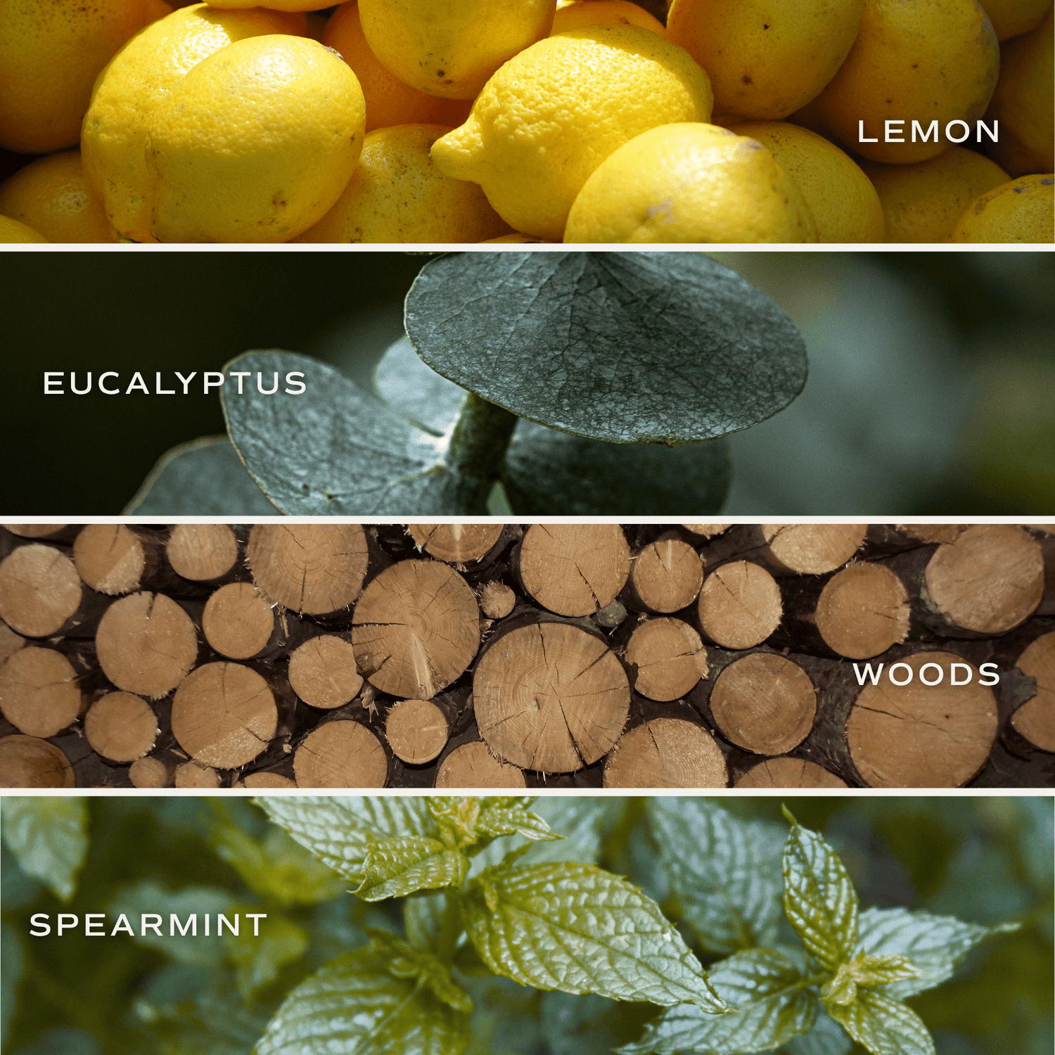 Stress Relief Soy Candle - Blue Tinted Glass Jar - 12 oz