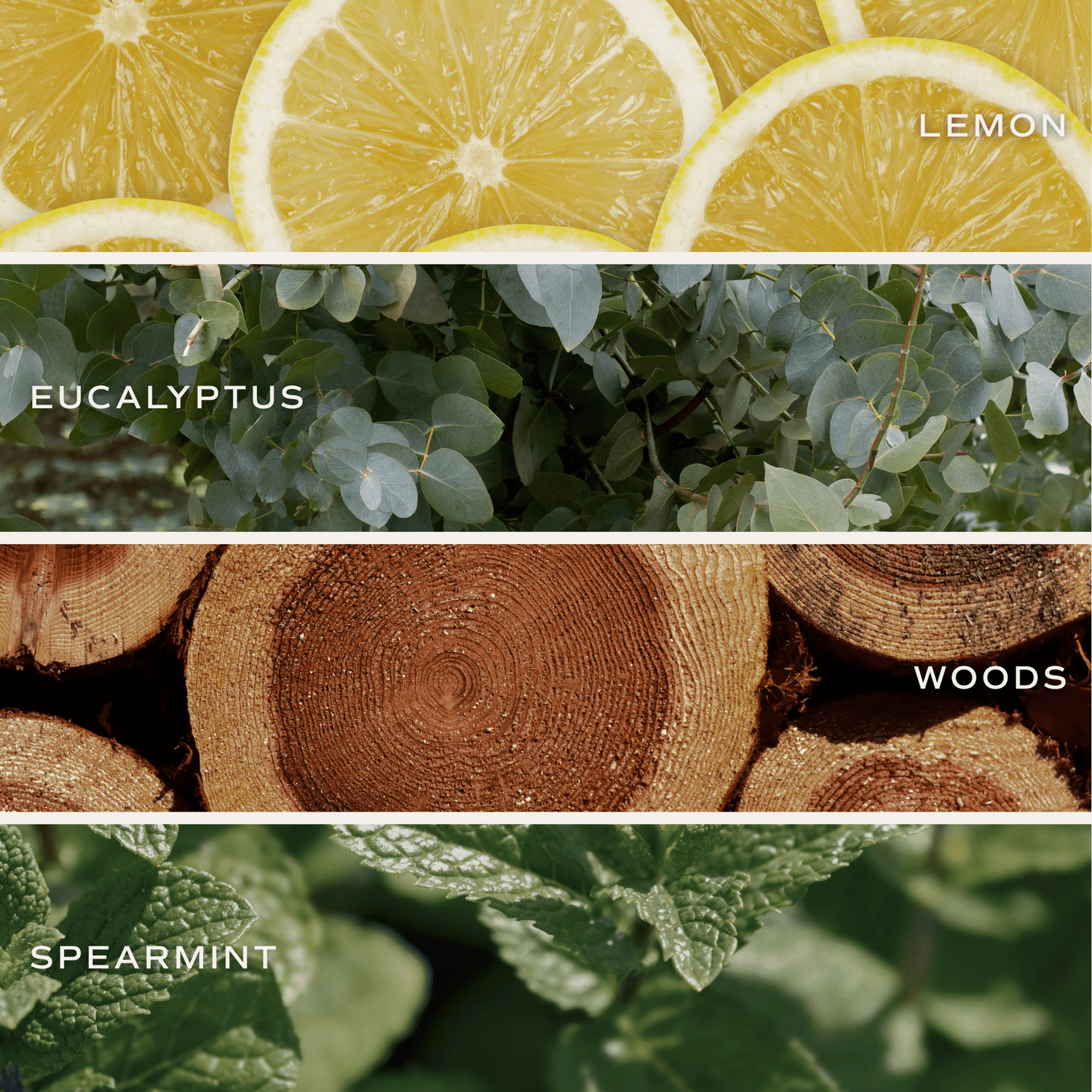 Stress Relief Soy Candle - Blue Matte Jar - 15 oz