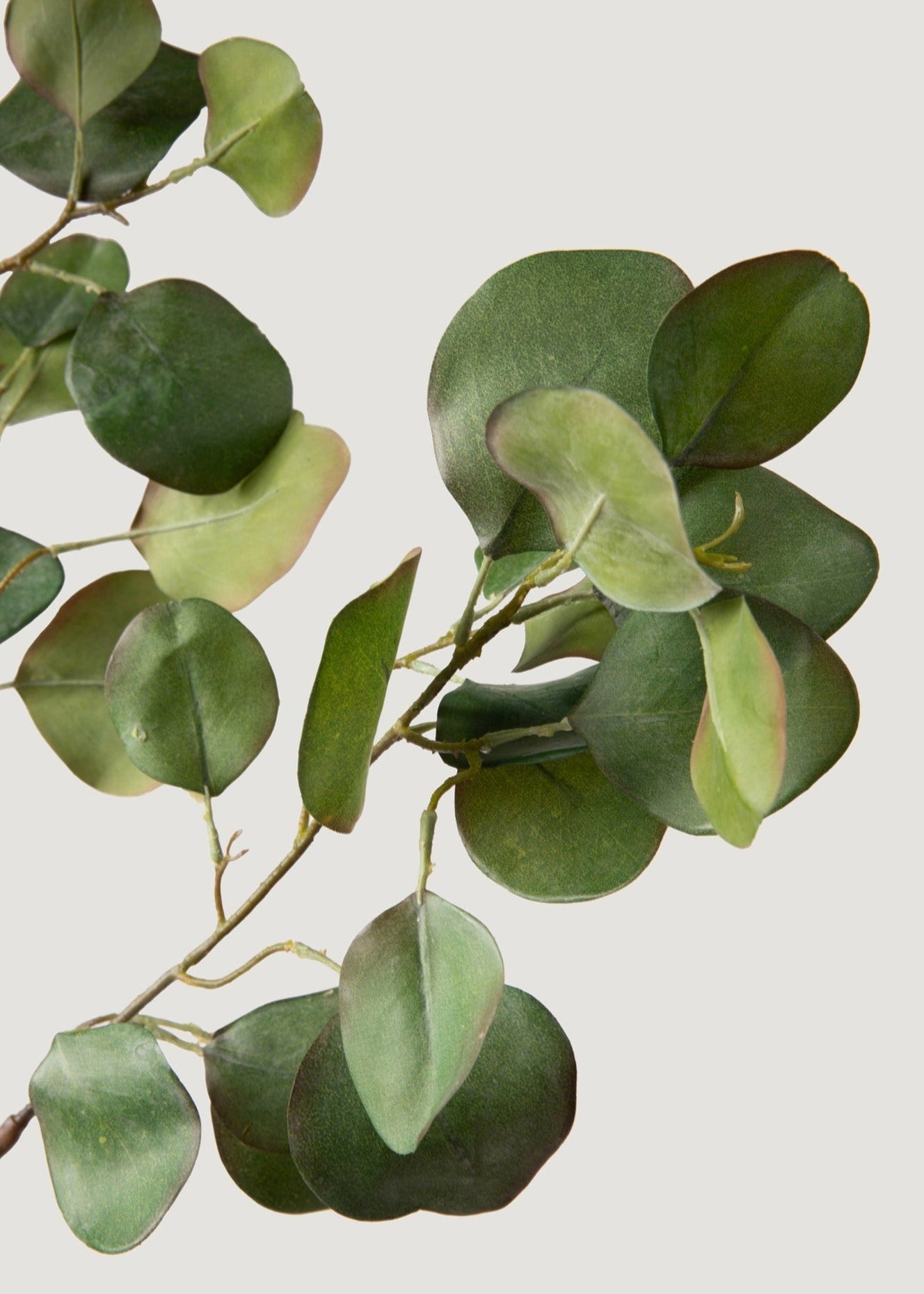 Faux Silver Dollar Eucalyptus Branch - 39