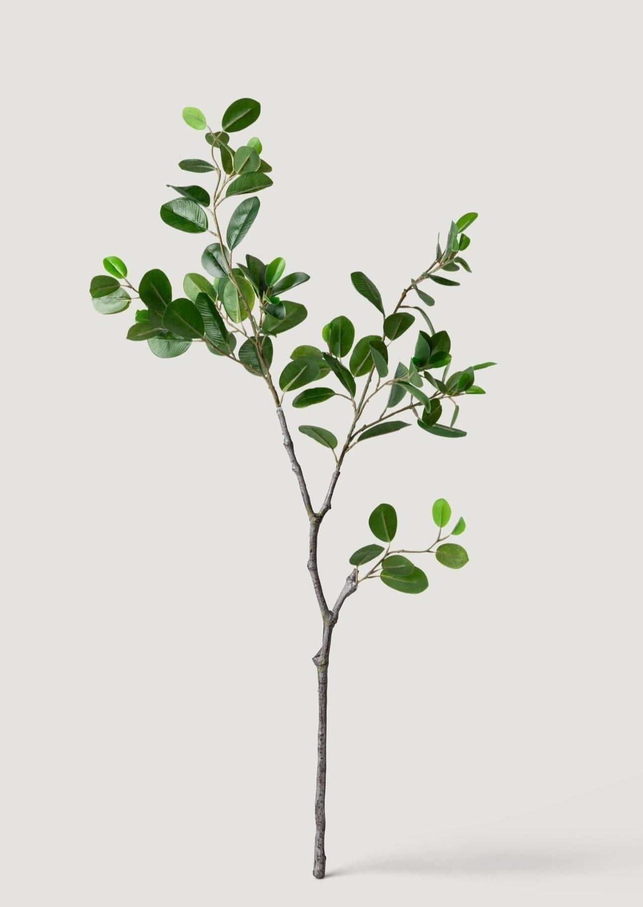 Fake Italian Ficus Branch - 38