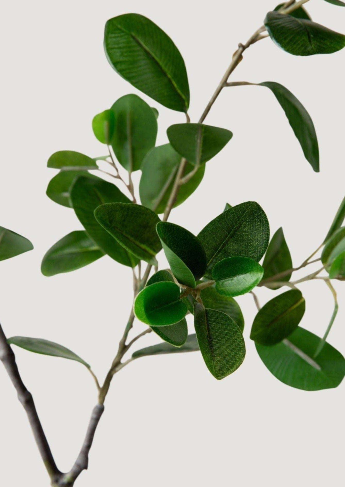 Fake Italian Ficus Branch - 38
