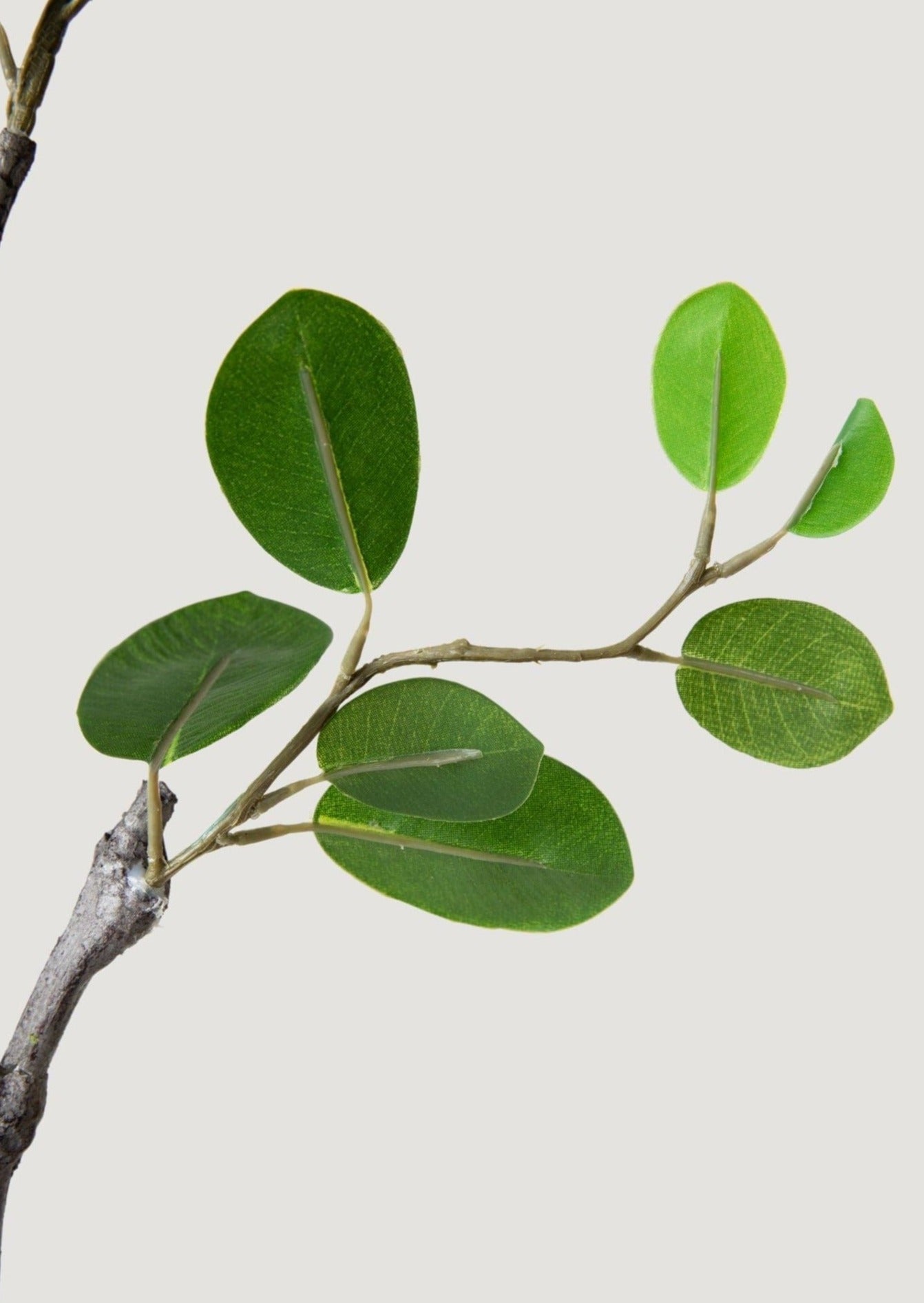 Fake Italian Ficus Branch - 38