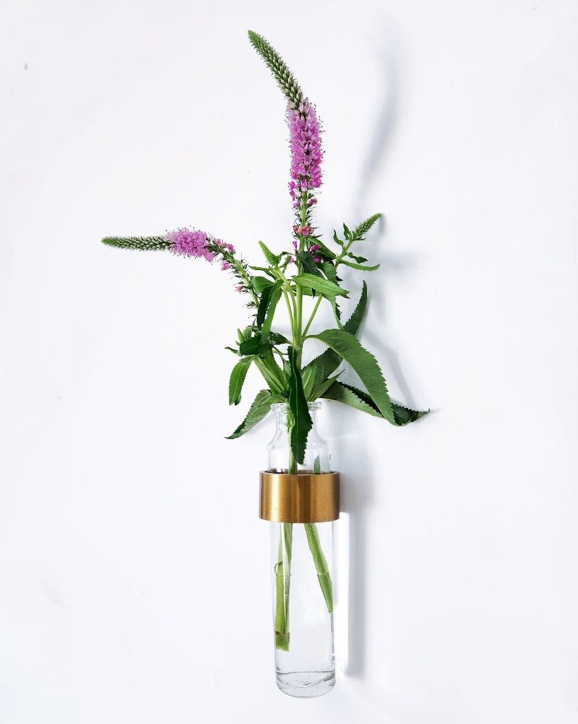Minimal Wall Vase: Steel Ring