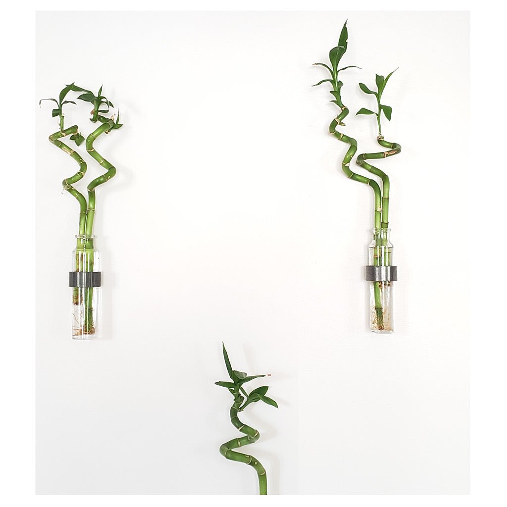 Minimal Wall Vase: Steel Ring