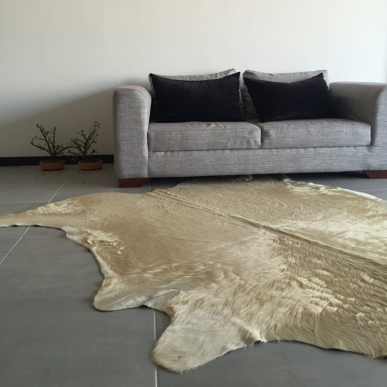 Champagne Brazilian Cowhide Rug: XL