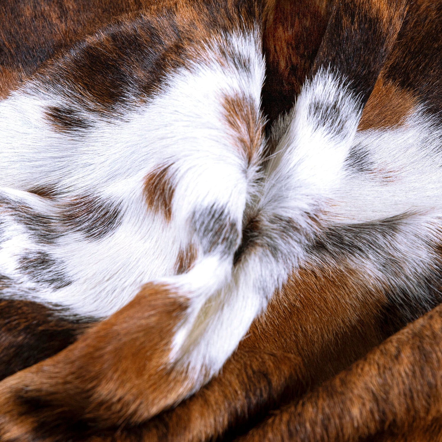 Tricolor Brazilian Cowhide Rug: LARGE