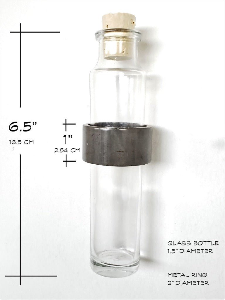 Minimal Wall Vase: Steel Ring