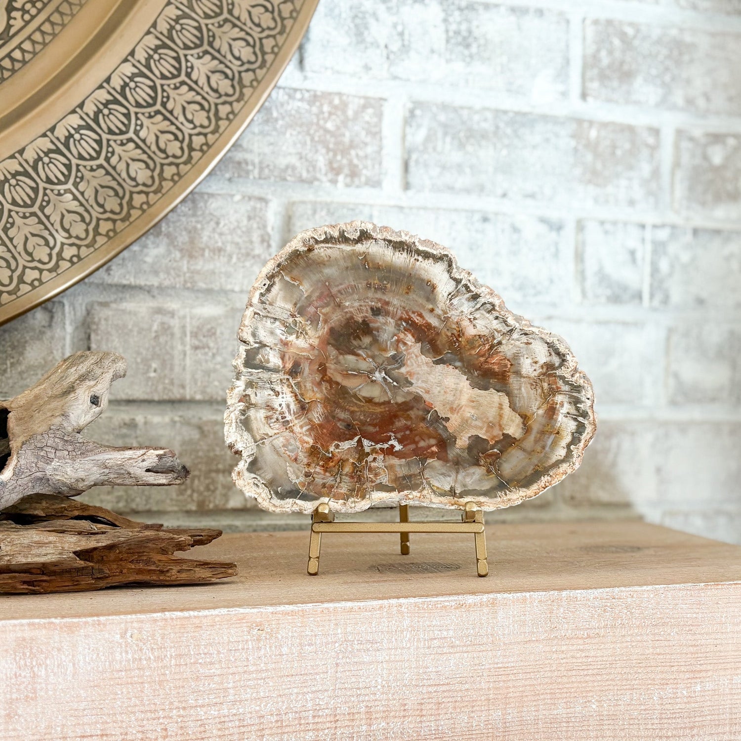 Madagascar Petrified Wood Slab