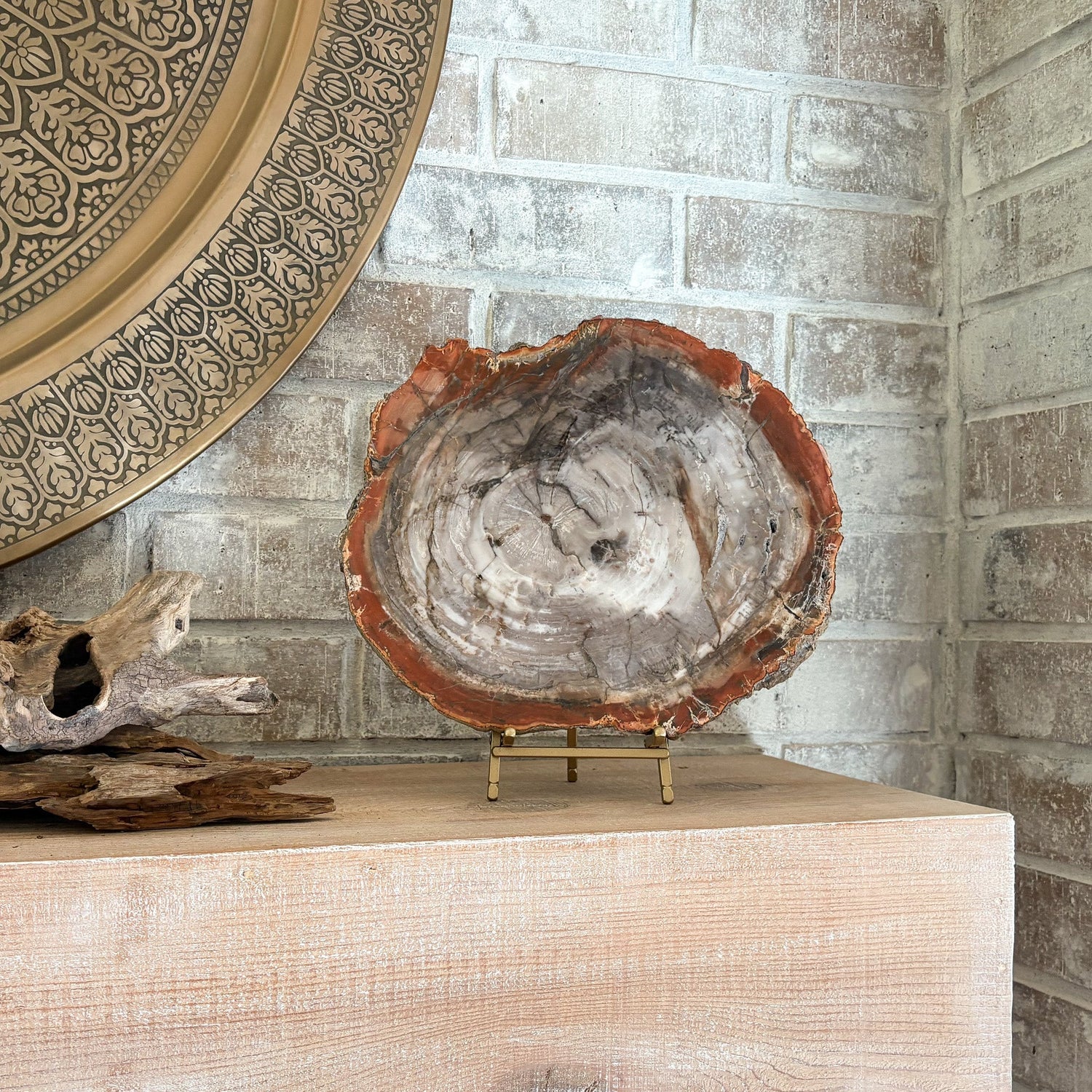 Madagascar Petrified Wood Slab