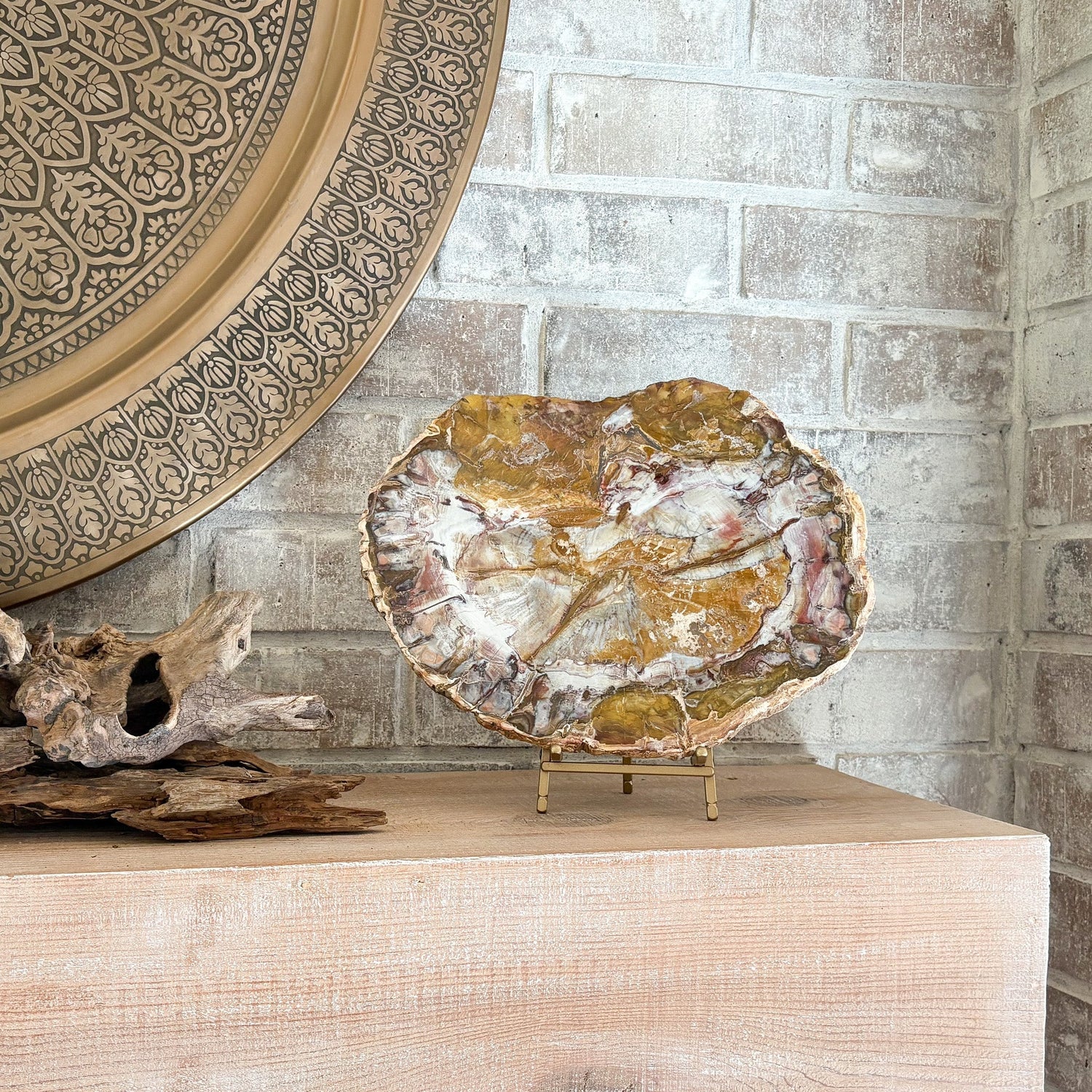 Madagascar Petrified Wood Slab