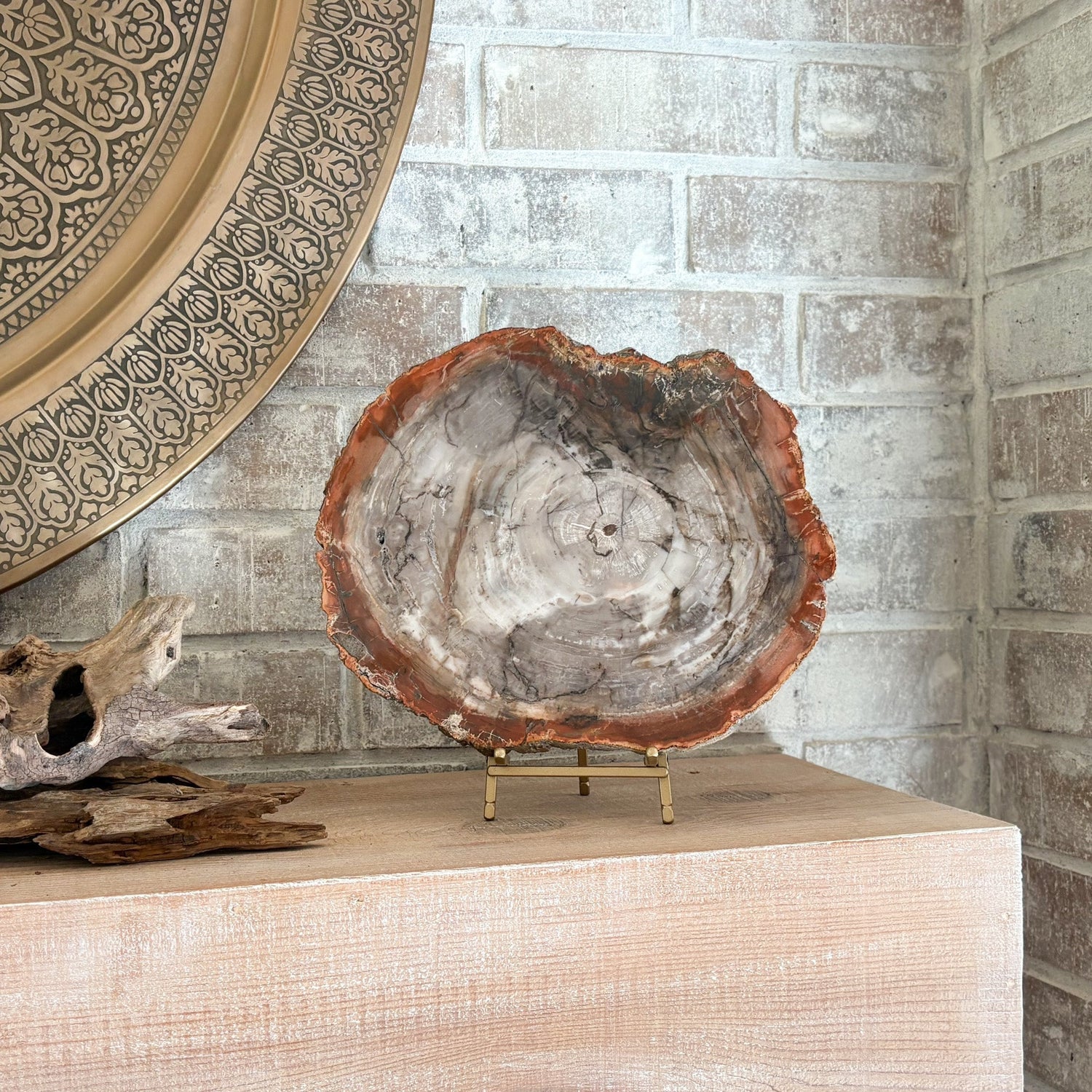 Madagascar Petrified Wood Slab