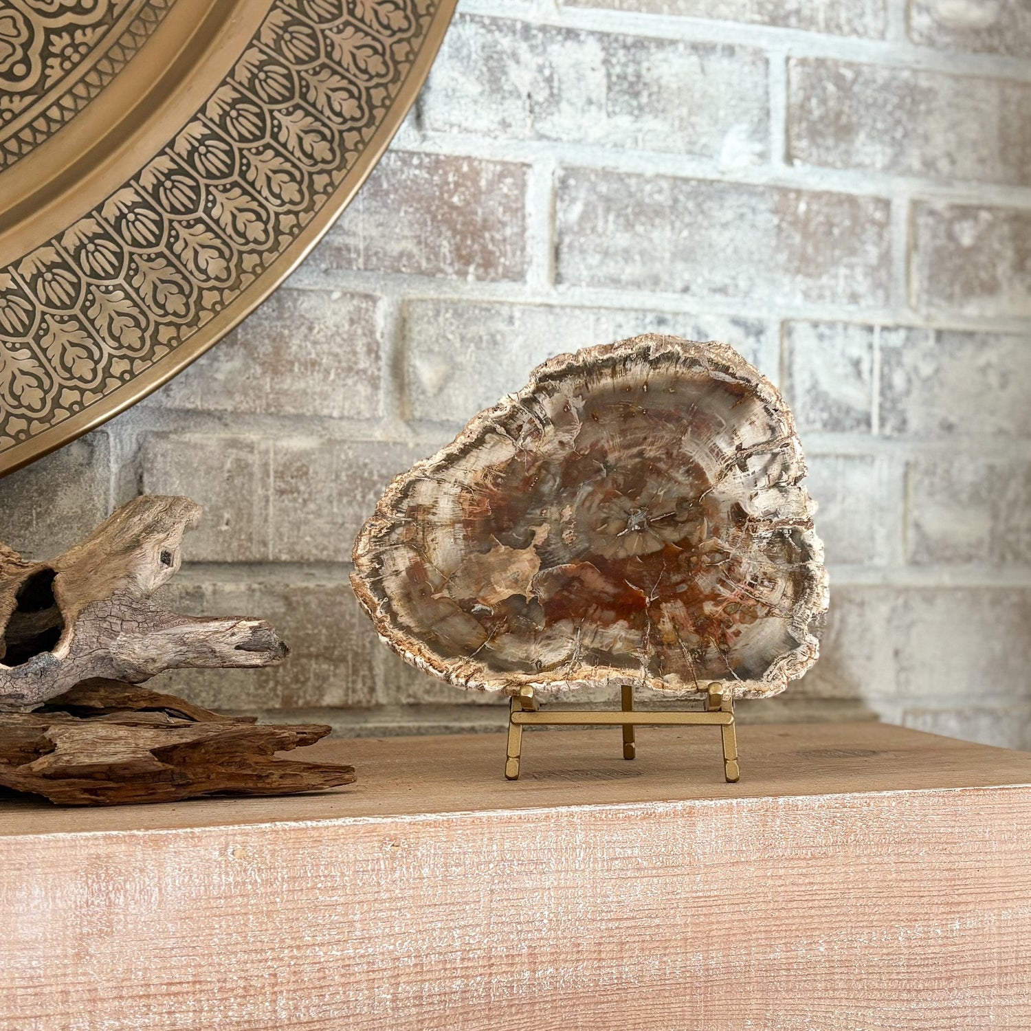 Madagascar Petrified Wood Slab