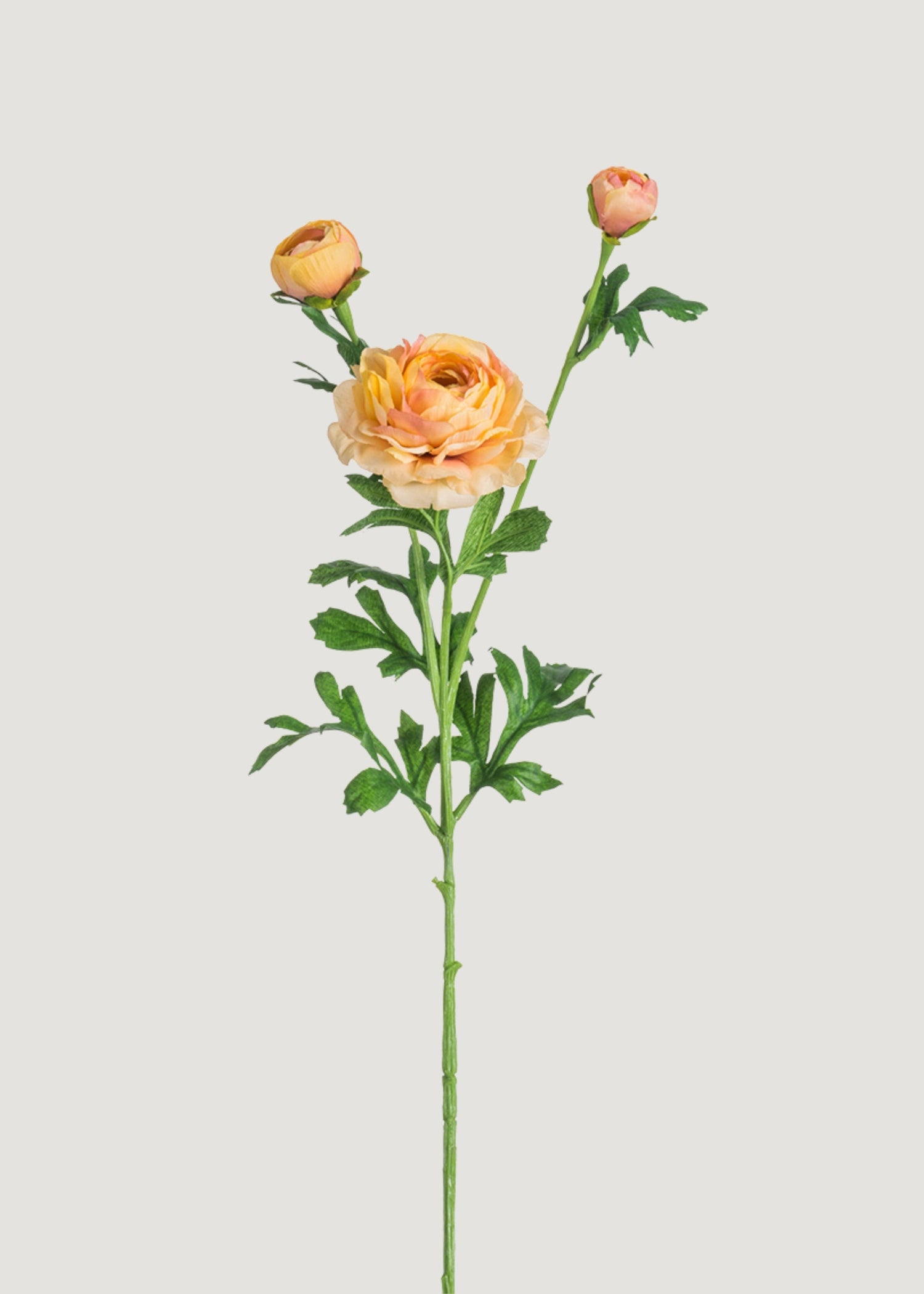 Peach Artificial Ranunculus Flower - 25