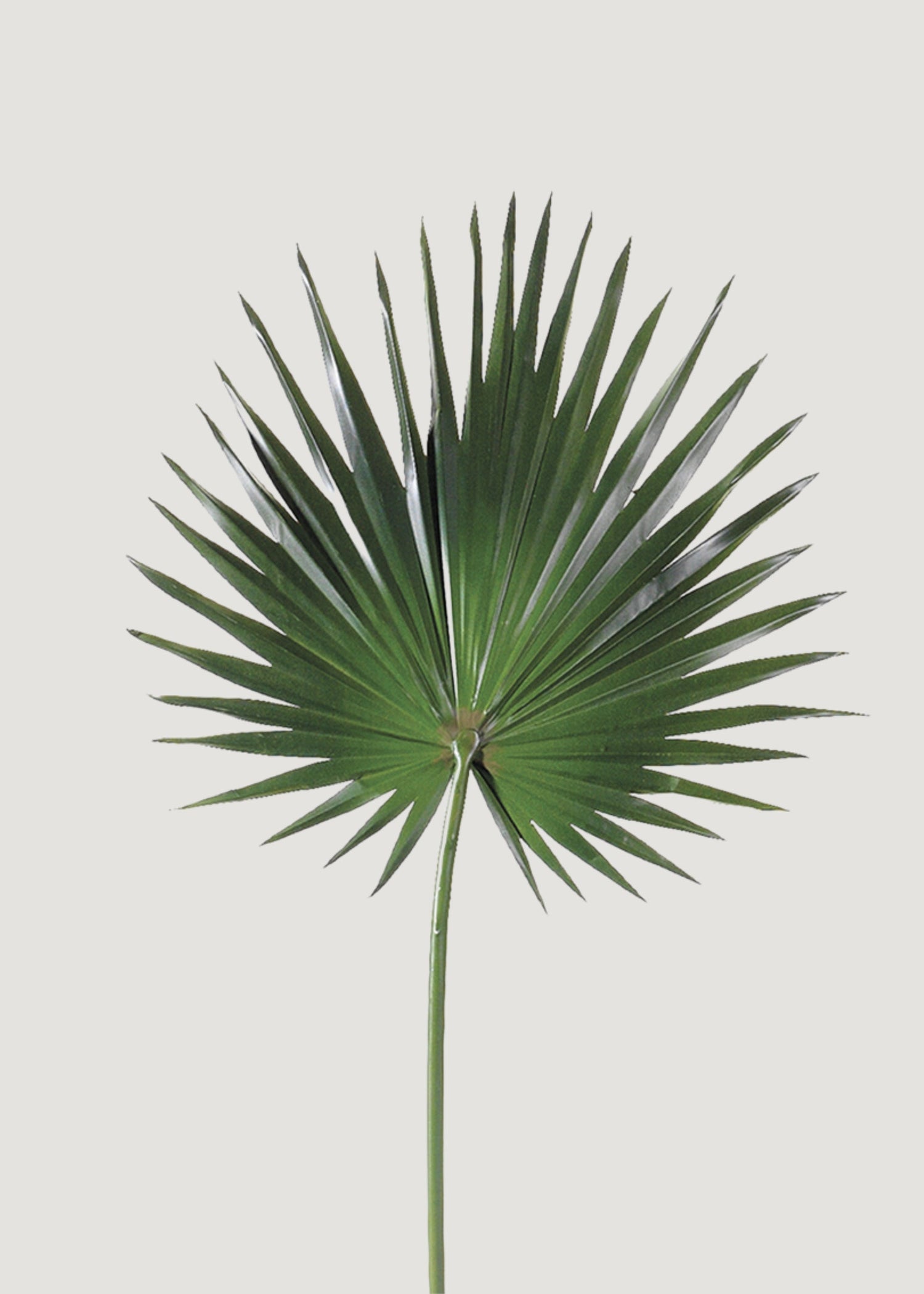 Artificial Fan Palm Leaf - 30