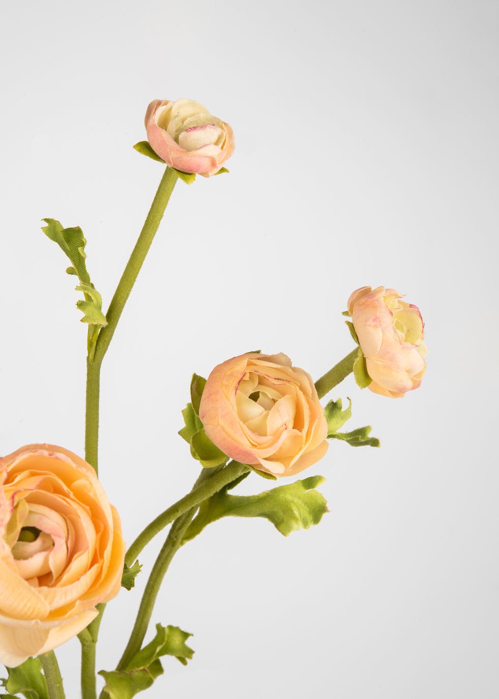 Real Touch Faux Ranunculus in Peach - 21.5
