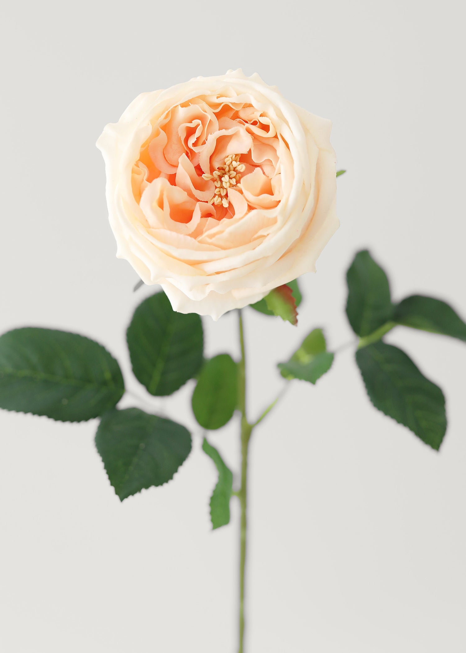 Peach Real Touch Rose Artificial Flower - 24