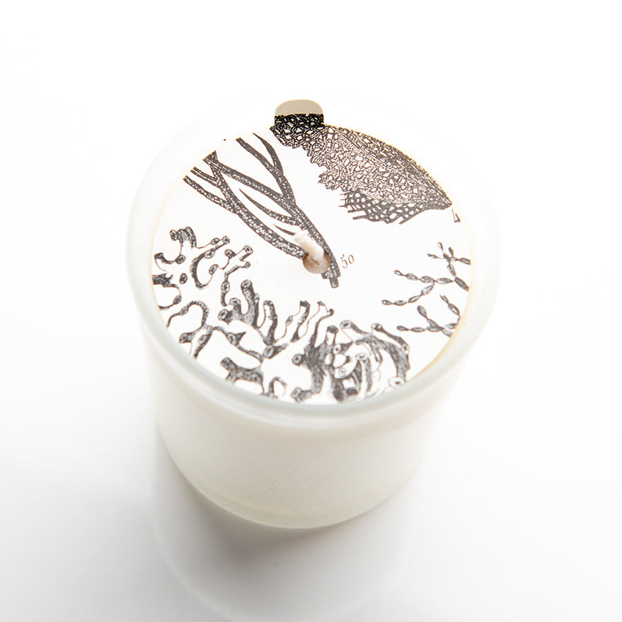 Ocean & Oakmoss - Frosted Jar Candle