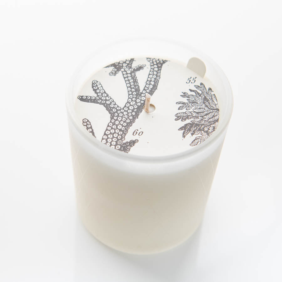 Aloe Leaf & Mint - Frosted Jar Candle